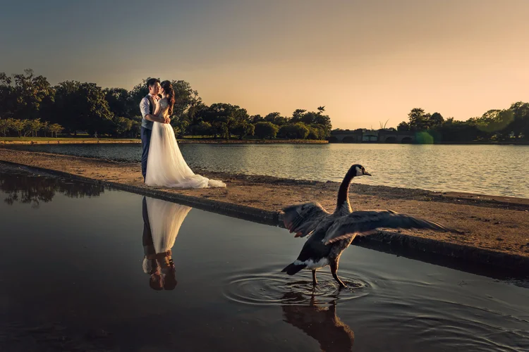 A couple dressed in wedding attire embraces by a lake at sunset, with a goose standing in the water nearby and their reflections visible in the water.