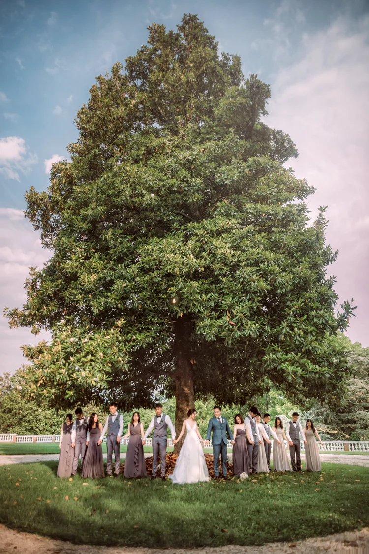 A wedding party holding hands under a large tree in a park with a blue sky above.