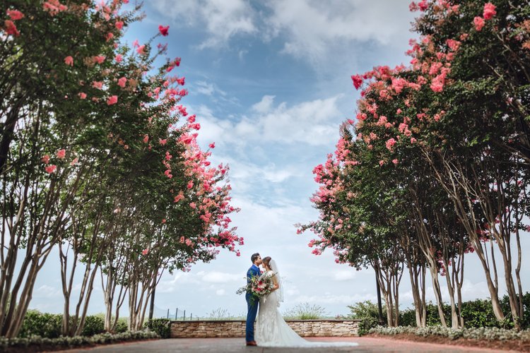 A couple in wedding attire standing under pink flowering trees, sharing a kiss during a wedding photo shoot outdoors on a sunny day.