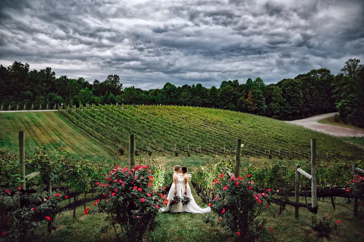 Two women in wedding dresses stand facing each other in a vineyard with green foliage and rose bushes, under a cloudy sky.