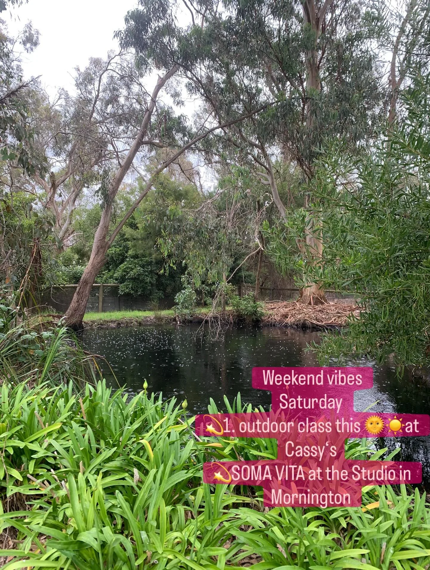 🔅Professional life has unfolded in three inter- related acts. Pilates Teacher for 15 years, and the previous years were  dedicated to crystal therapy, Pellowah and Reiki, Somatic movement therapy. 
🔅As a kid, I was obsessed with crystals, reading a