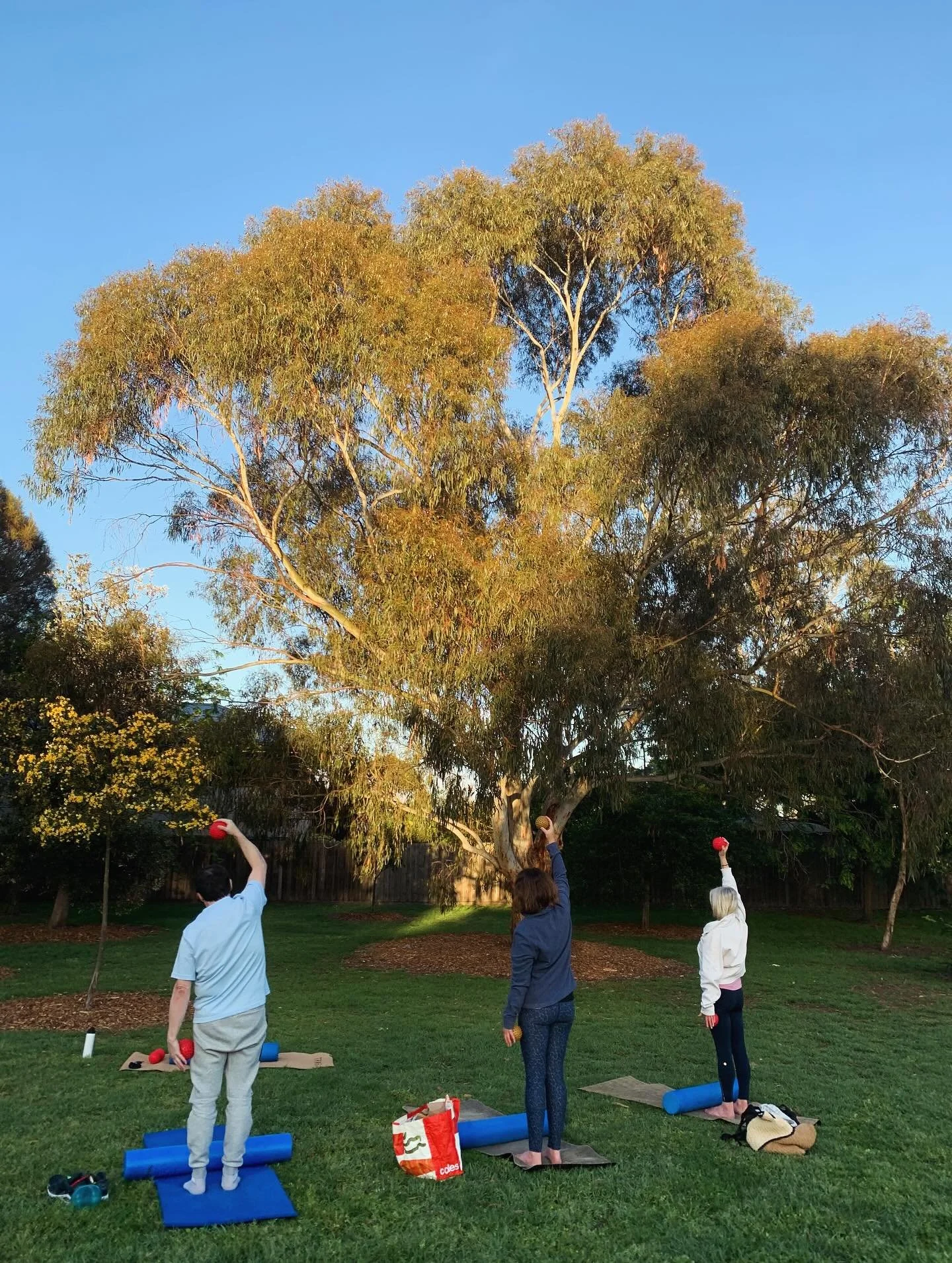 🦋🍃Outdoor classes, 🎄Christmas events &amp; 🩰ballet Nutcracker and the wonderful women&rsquo;s. Circle 🧚🏻&zwj;♂️💫@mariaheals yesterday. It&rsquo;s been a big week! 
Are you enjoying the lead  up to Christmas? Happy weekend 🥰#myfavoritetimeofye