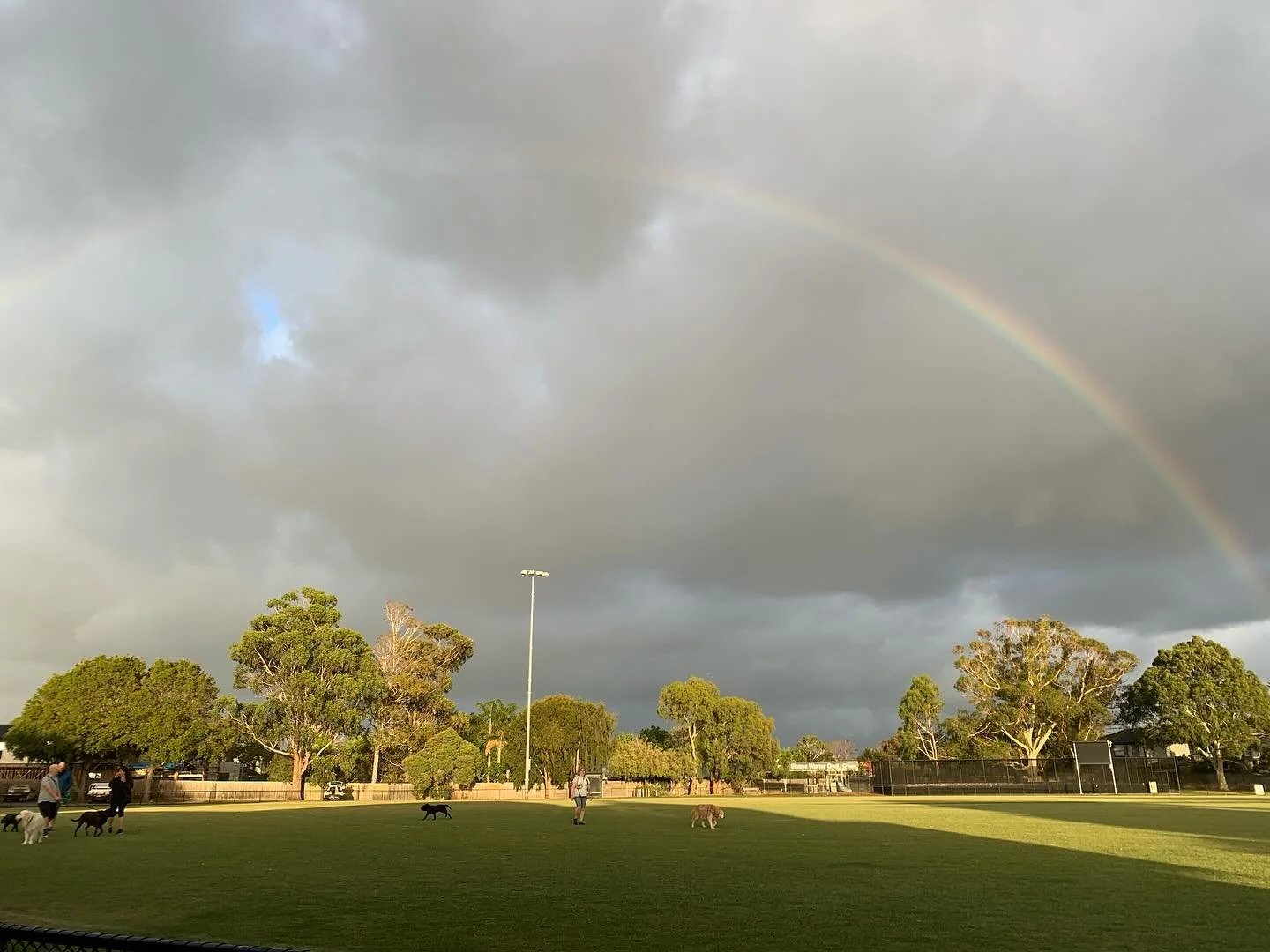 &ldquo;Being is the great explainer&rdquo; - Henry David Thoreau
In memory of my father Wolfgang ❤️
14.1.1954 - 12.1.2026 RIP 
It&rsquo;s been an interesting time since my injury late December and now. I have taken time to &ldquo;just be&rdquo; 
Ther