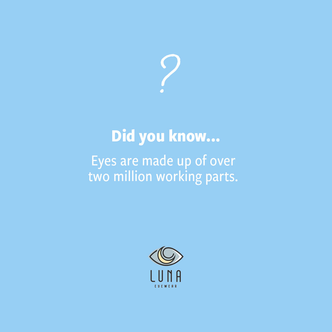 With so many working parts, it&rsquo;s no wonder why we have to take great care of our eyes and eye heatlh. 

From finding the right eyewear for you to ensuring we detect any health conditions early on through eye tests, the team at Luna Eyewear is d