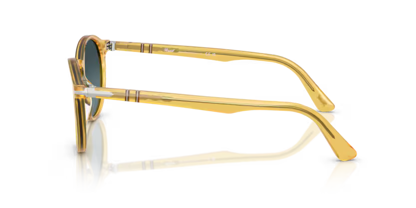 0PO3171S__204_S3__P21__shad__lt.png
