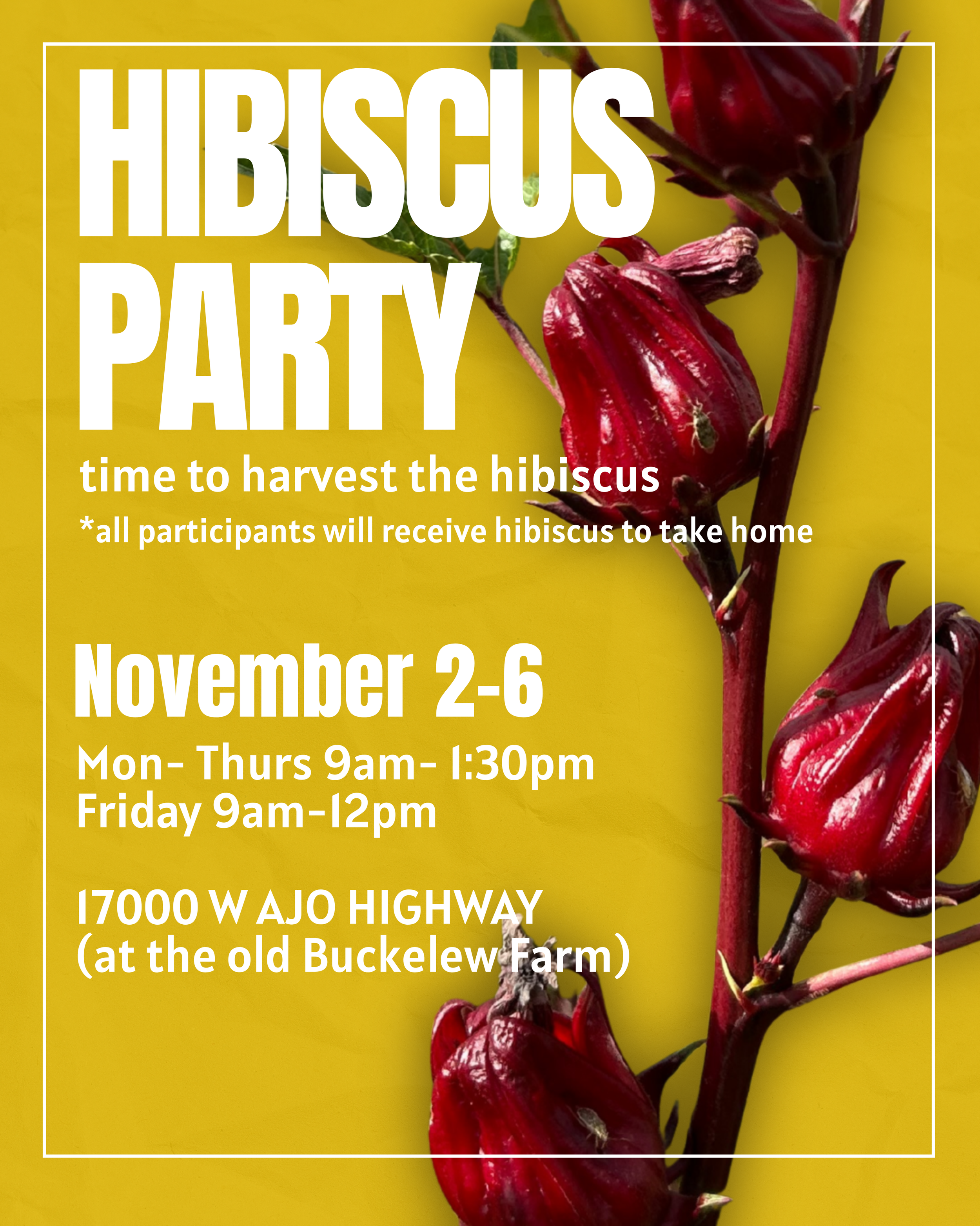 Hibiscus Party (Harvest)- Volunteer Opportunity