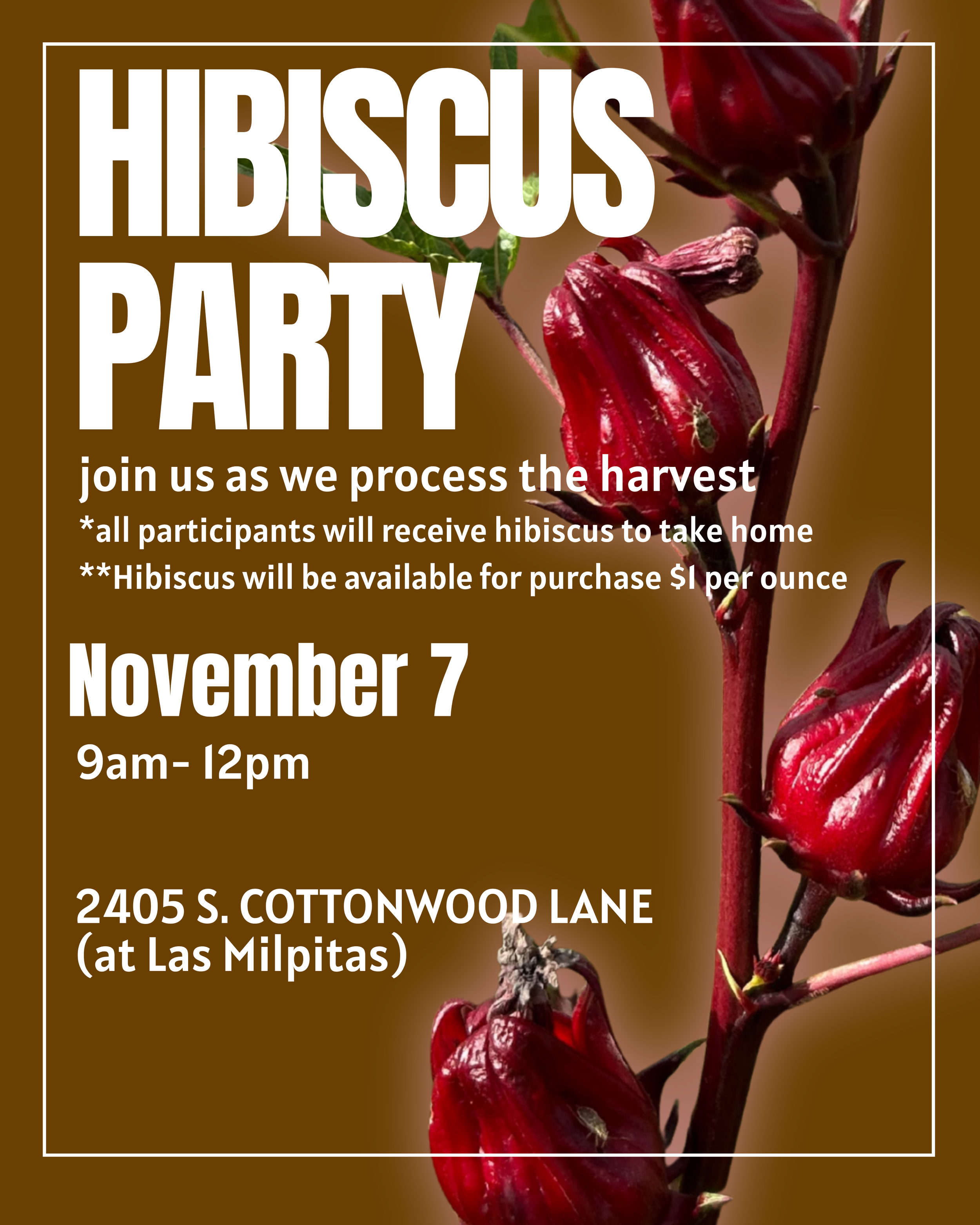 Hibiscus Party (Processing)- Volunteer Opportunity 