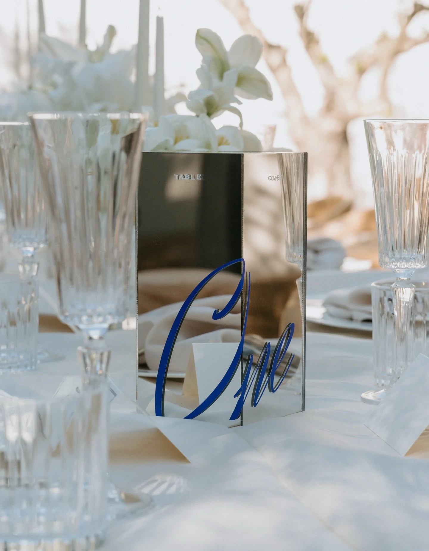 This table number has my heart forever 💙

Styling &amp; concept @houseofharveyco 
Photographer @brontemcveigh 
Content Creator @yourbtscontent
Videography @vautiervisualweddings
Florist @elyssiumblooms
Stationery @maddisonjayne_design
Venue @thedair