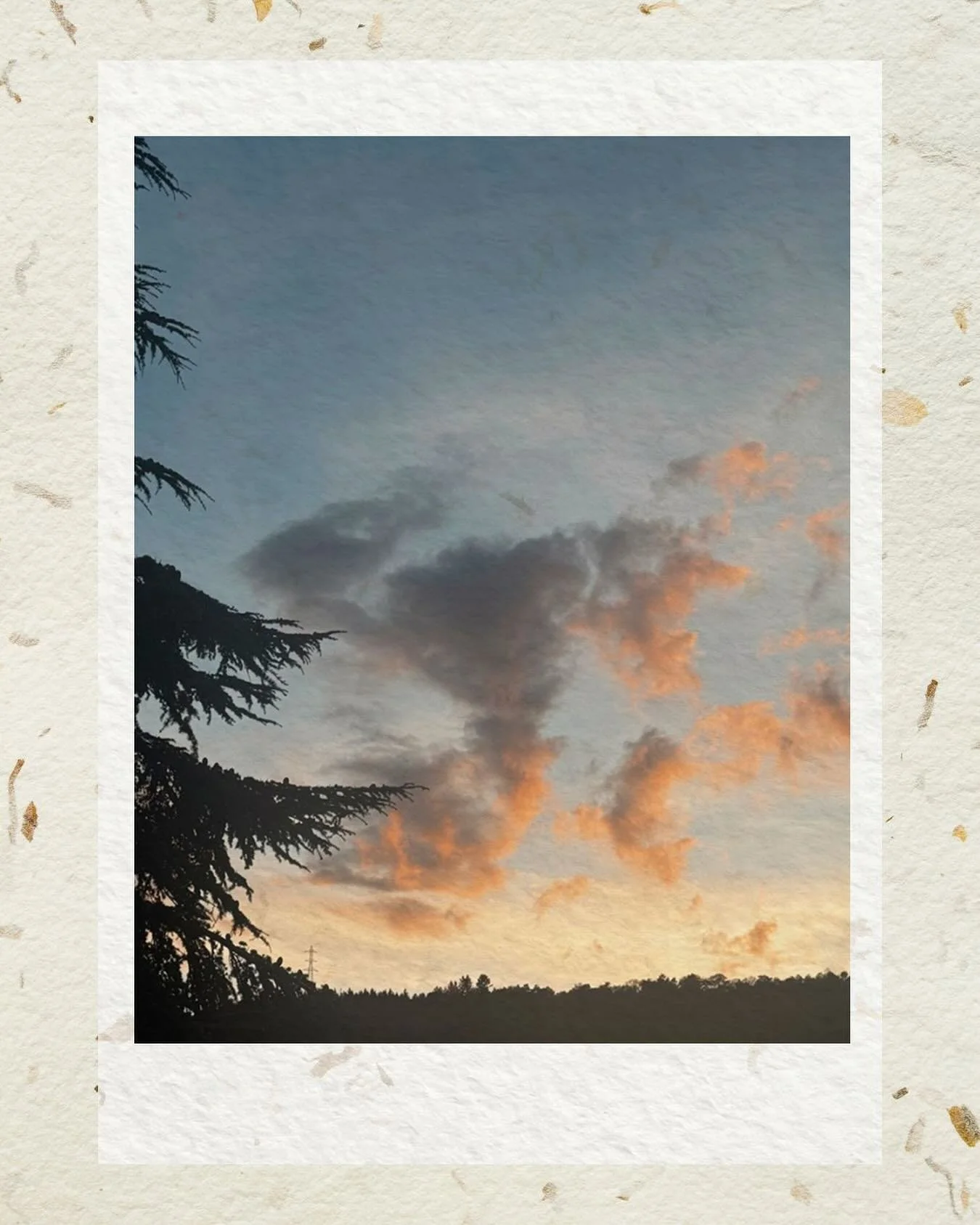 Un soir d&rsquo;&eacute;t&eacute; 🌞