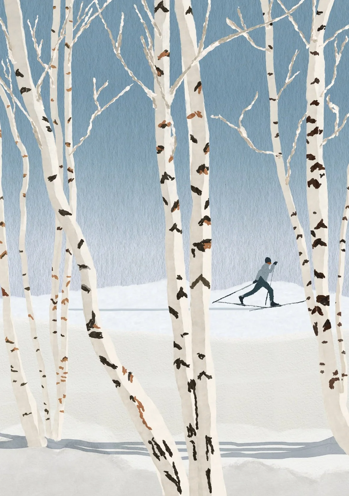 Une personne en train de skier sur une pente enneigée, entourée des bouleaux, dans un paysage d'hiver avec un beau ciel bleu.