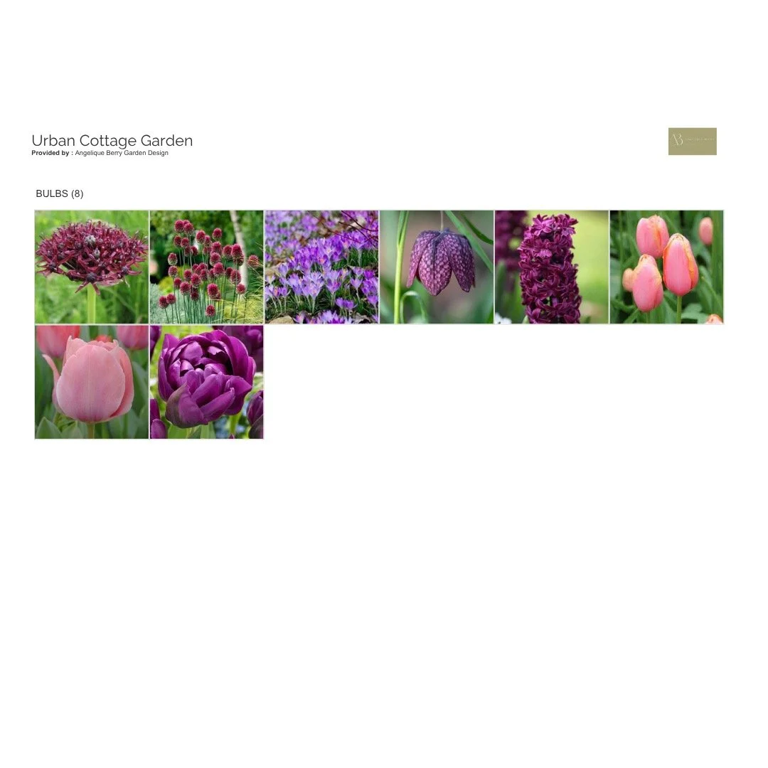 I&rsquo;m starting working on a new planting plan for a small urban garden that combines a relaxed cottage feel with a refined contemporary edge. The palette blends burgundy, pale pink, soft green and white colours. Romantic atmosphere guaranteed!
Th