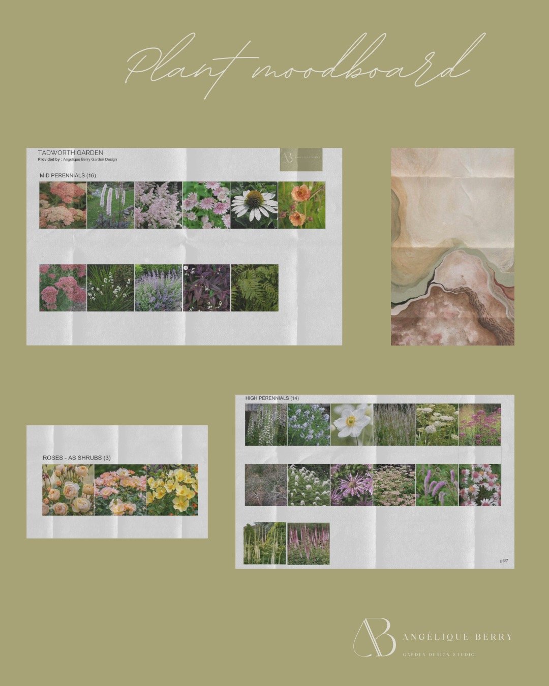 I've been working on this plant moodboard today, building from the pastel palette agreed with the client: soft peaches, blush pinks, fresh greens and touches of white.
The heavy clay soil here definitely narrows down the plants I can select but I'm h