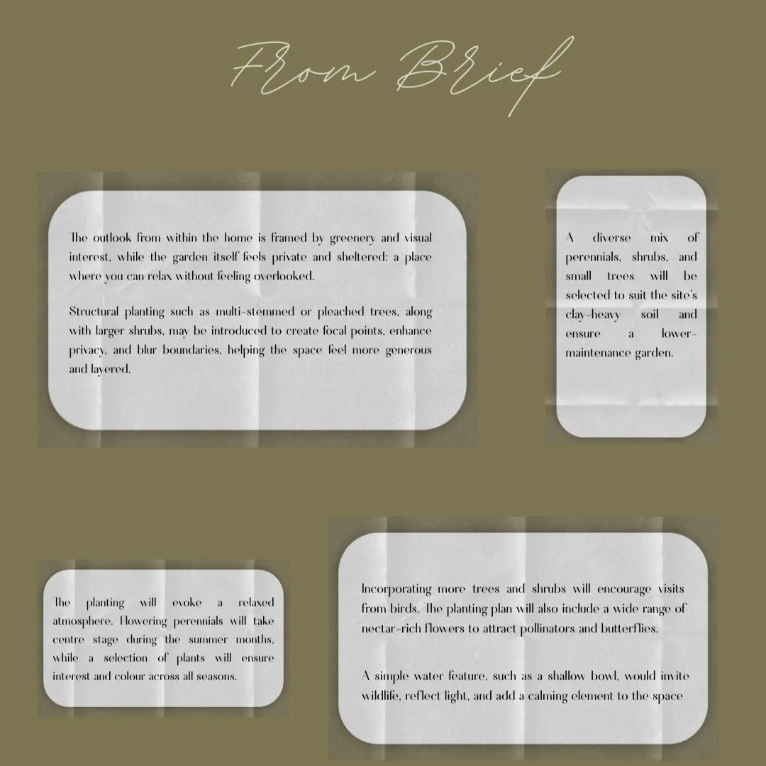 A recently completed planting plan for a client looking to refresh their garden without a full garden redesign.
The palette is calm and muted: soft pinks, peach and white, layered with green foliage.
Shrubs and trees form the backbone of the scheme, 