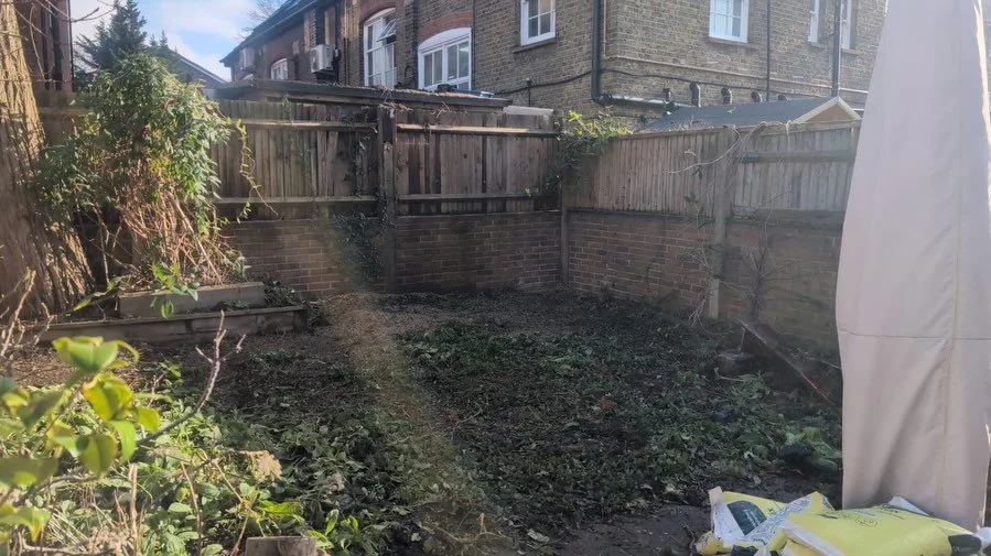 Day 1 of the garden build for this project in Kingston. The yew tree had to go for various reasons🥲it will be replaced by lovely pleached beech trees to maintain privacy of this garden.  But the garden is immediately feeling more spacious . I&rsquo;