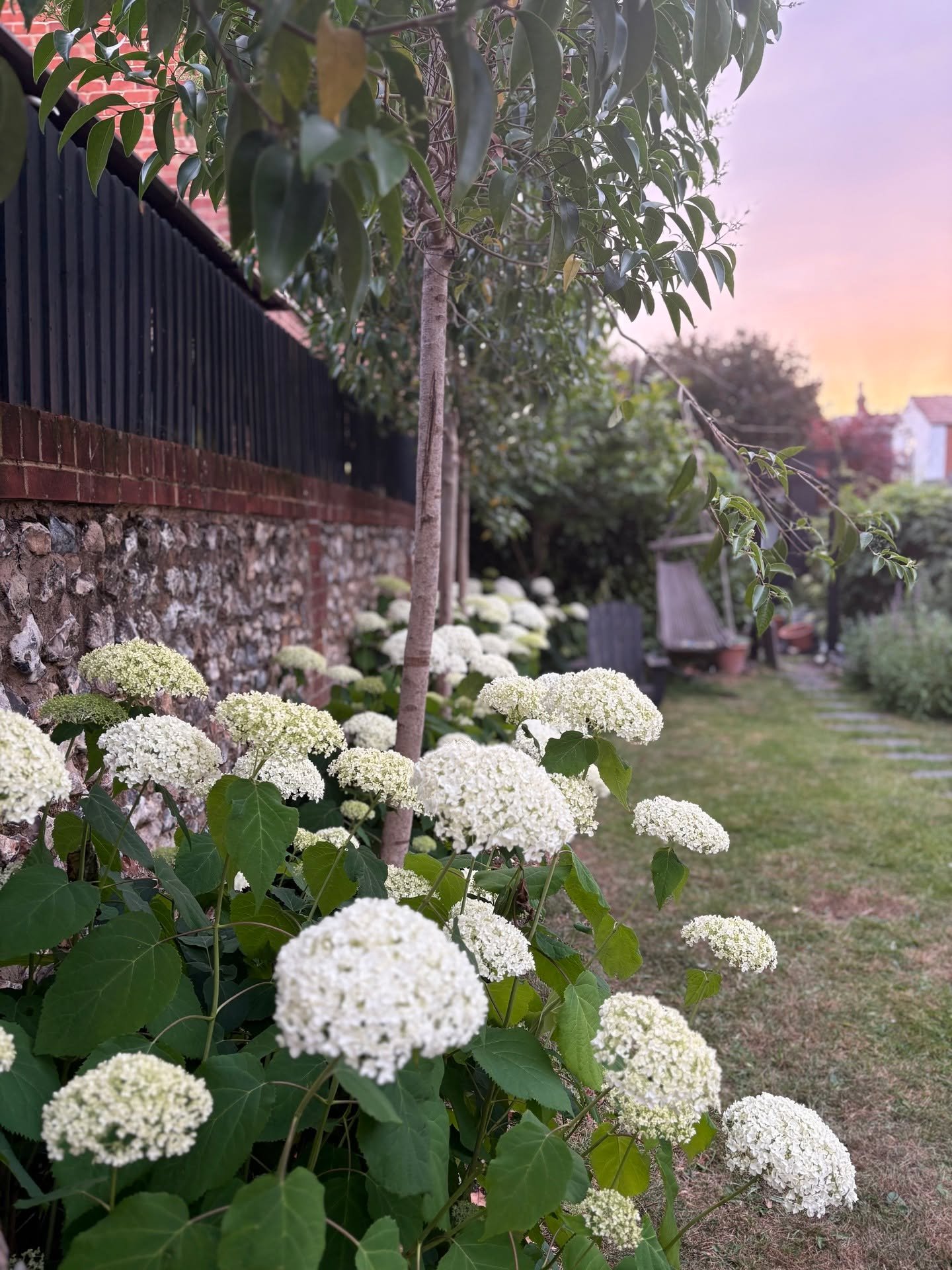Last weekend I started reading the beautiful book from Olivia Laing "The Garden against time". One passage on Walled Gardens fascinated me. I read in the book that long before the Garden of Eden was mentioned, paradise meant a walled garden