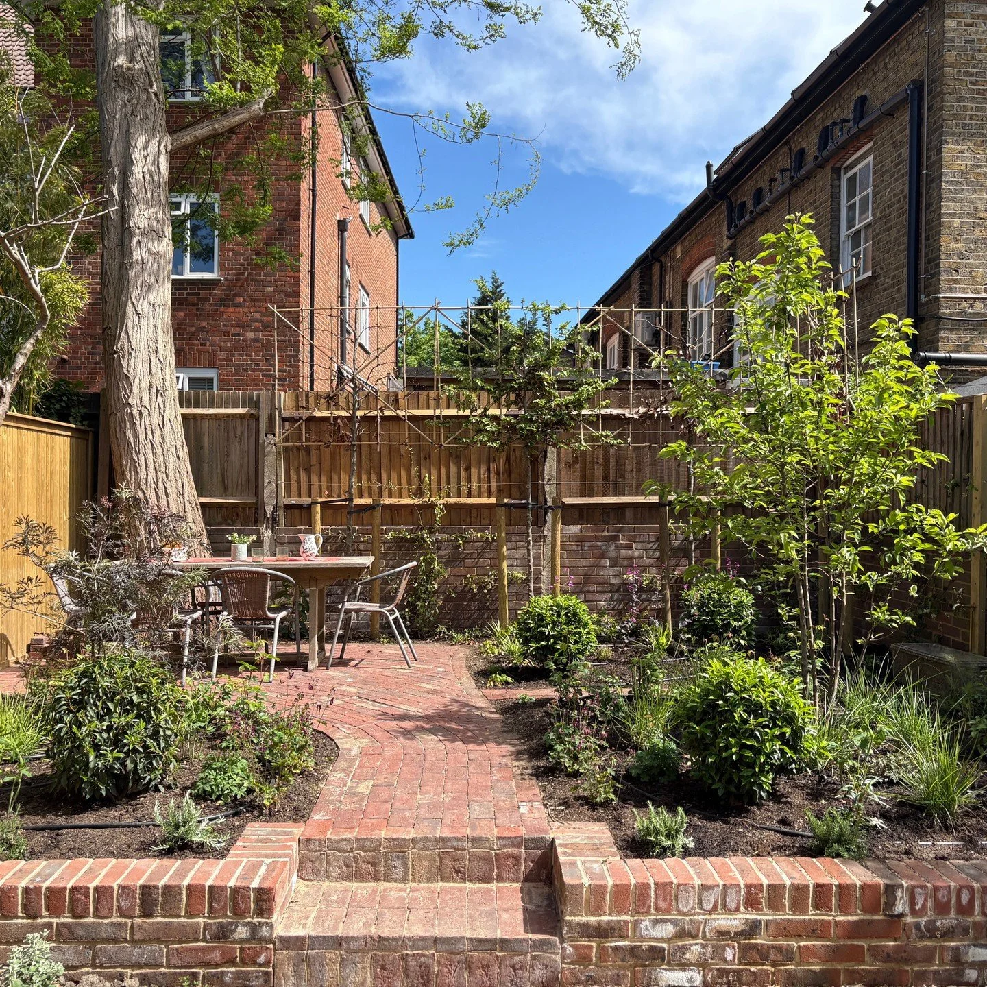 We finished planting this garden yesterday with the help of @bloominmarvellousuk . The garden had been dominated for years by an oversized yew (swipe to the last picture for a BEFORE shot).It was casting deep shade and with its extensive root system,