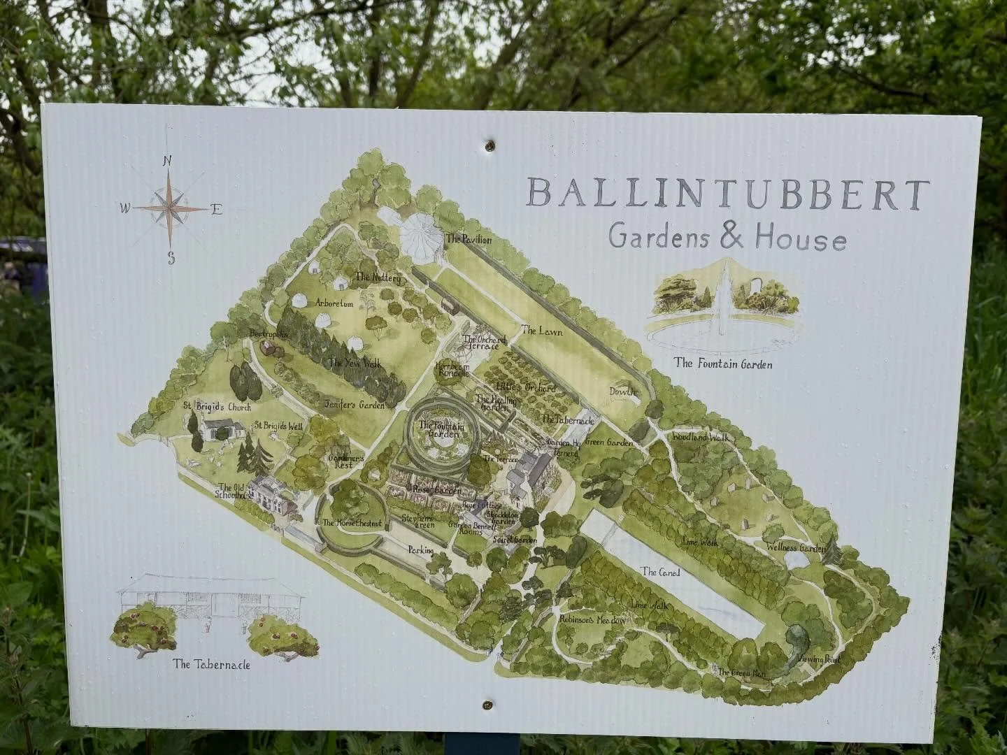 Just back from attending the Festival of Gardens and Nature at Ballintubbert Gardens in Ireland and the line-up of talks by top garden designers, head gardeners, growers etc. was very inspirational: Dan Pearson, Sarah Raven, Jo Thompson, Tom Coward, 