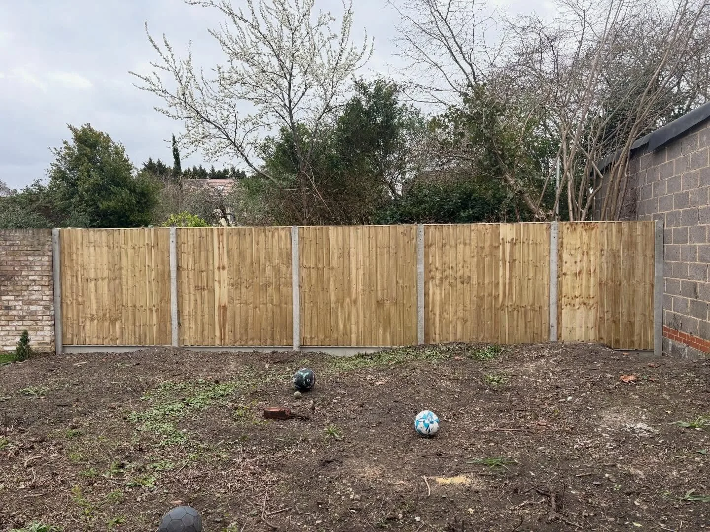 A new fence. 3 footballs on the ( almost bare) soil. And not much else, apart from a gorgeous parasol pine tree.
That was the garden of my client when we met for our design consultation. 
3 daughters who love football. A single mum with her hands ful