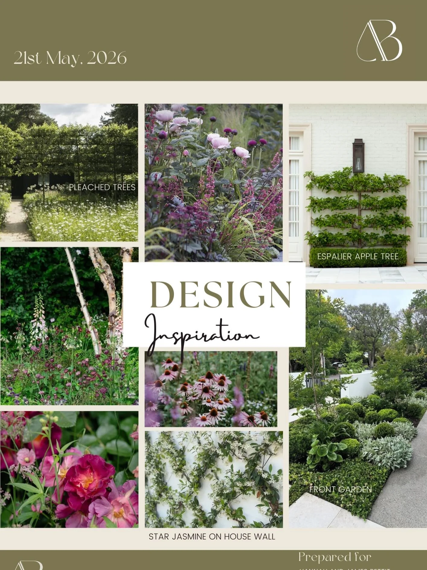 We are planting this garden in 2 weeks and I can&rsquo;t wait. Especially alongside the clients&rsquo; gorgeous golden retriever ( I&rsquo;ll have a couple of balls in my pocket ready to distract the garden&rsquo;s guardian!). We were engaged by the 