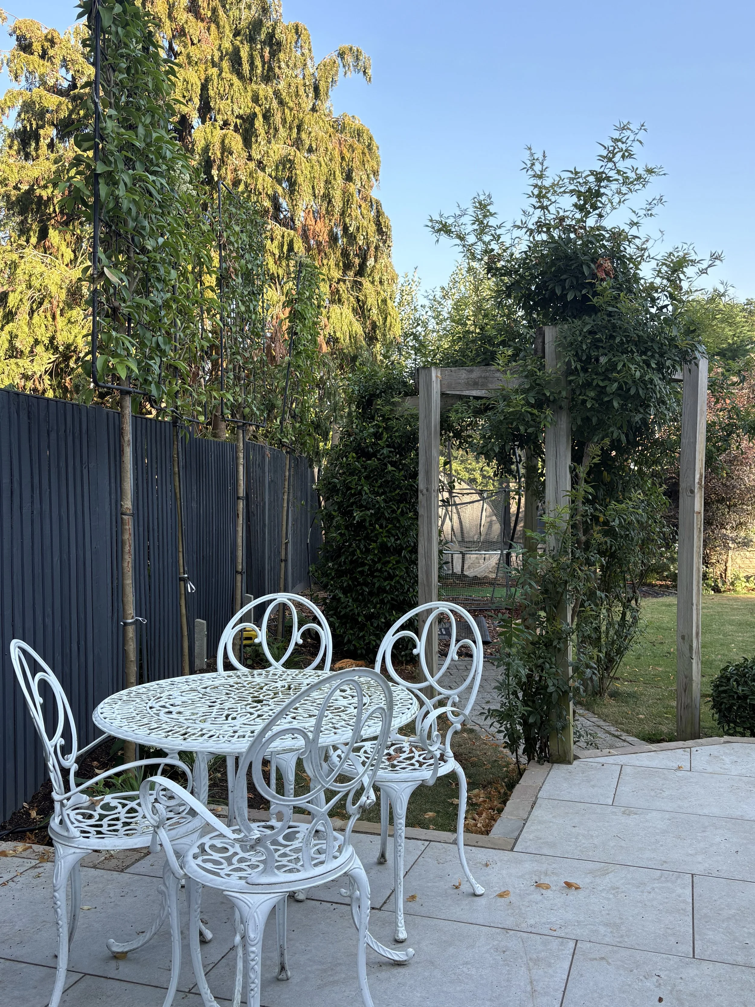 patio table, pleached trees