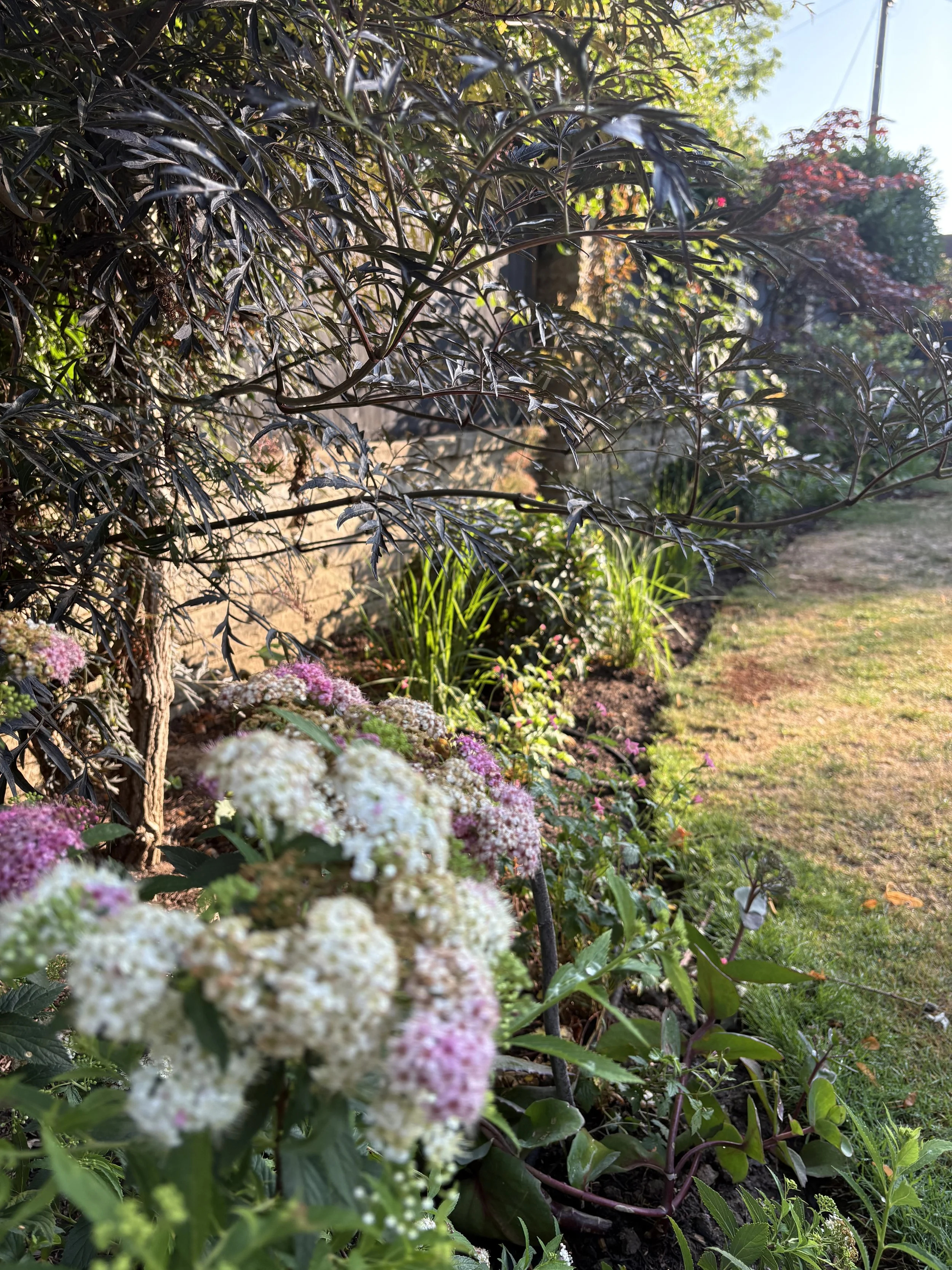 planting bed