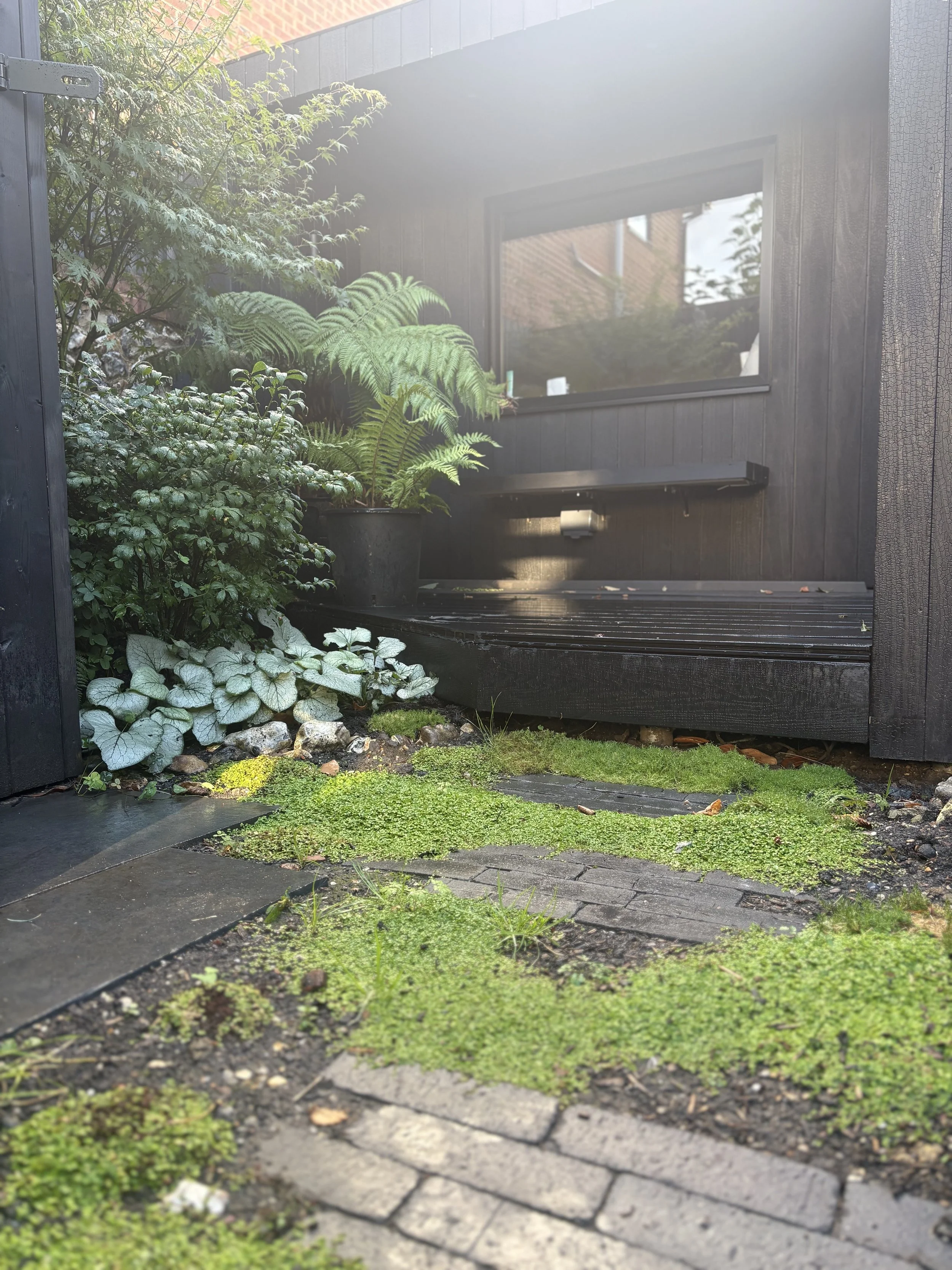 Garden studio. Shady garden.