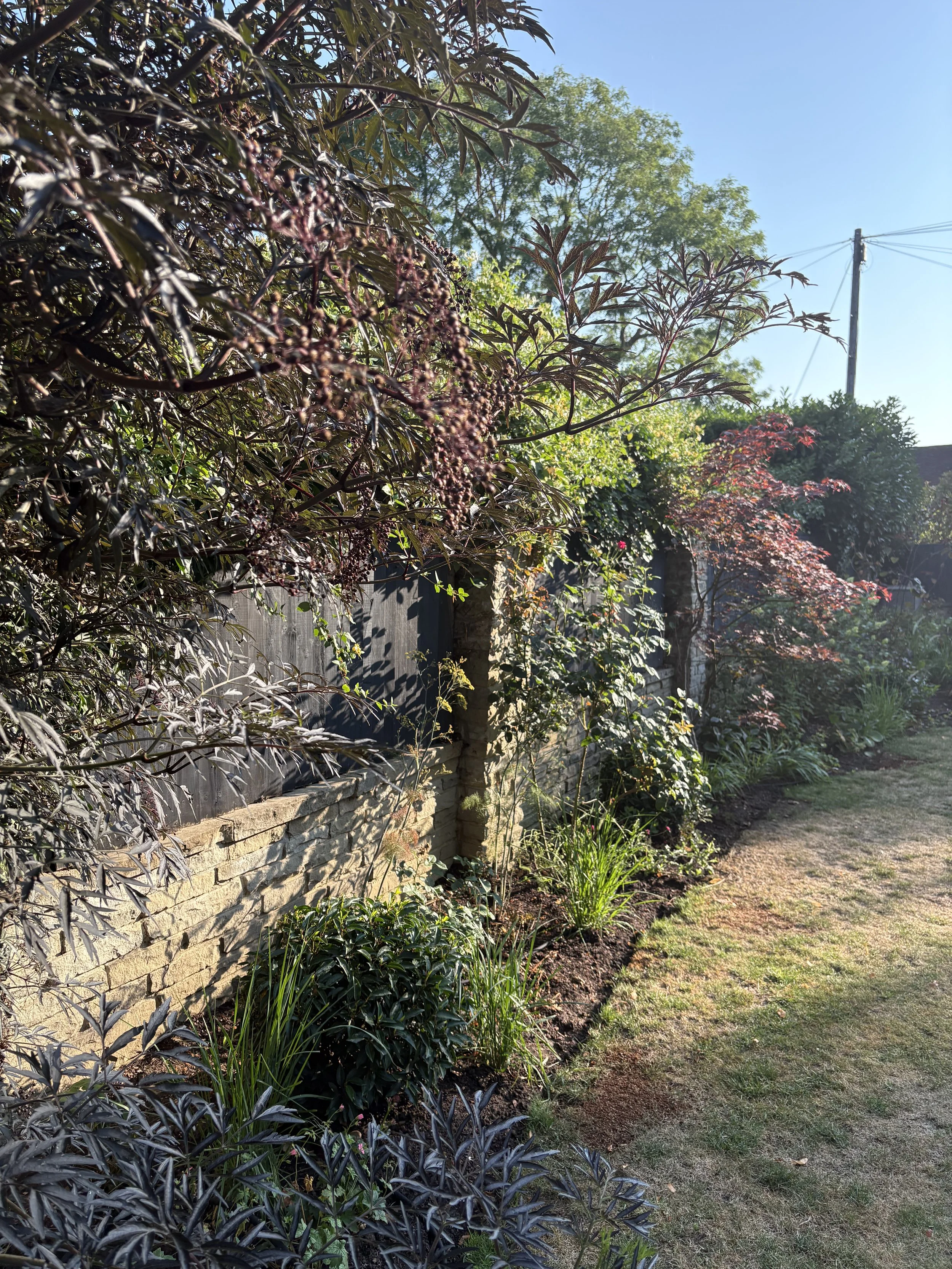 planting bed