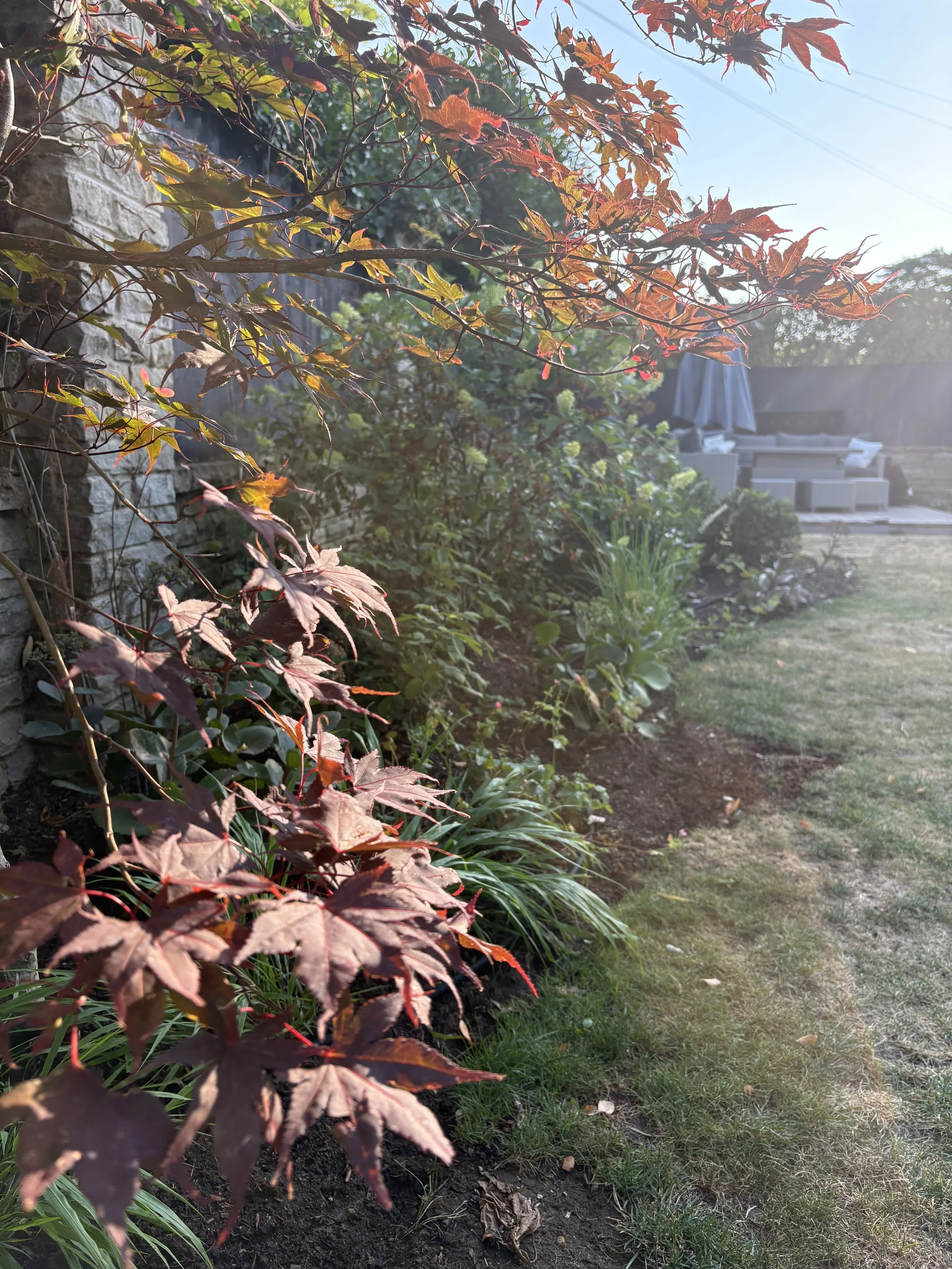 planting bed