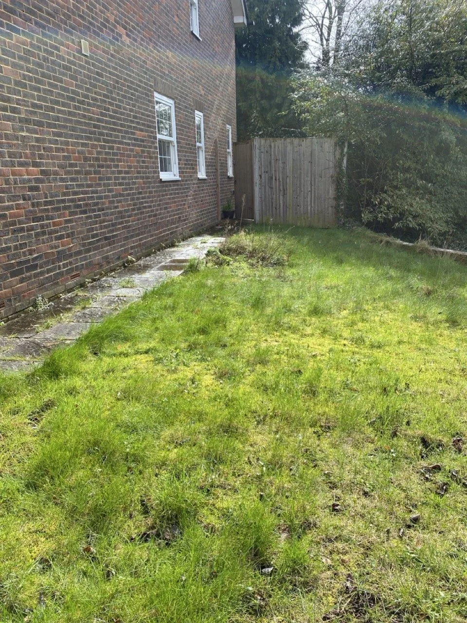 BEFORE picture