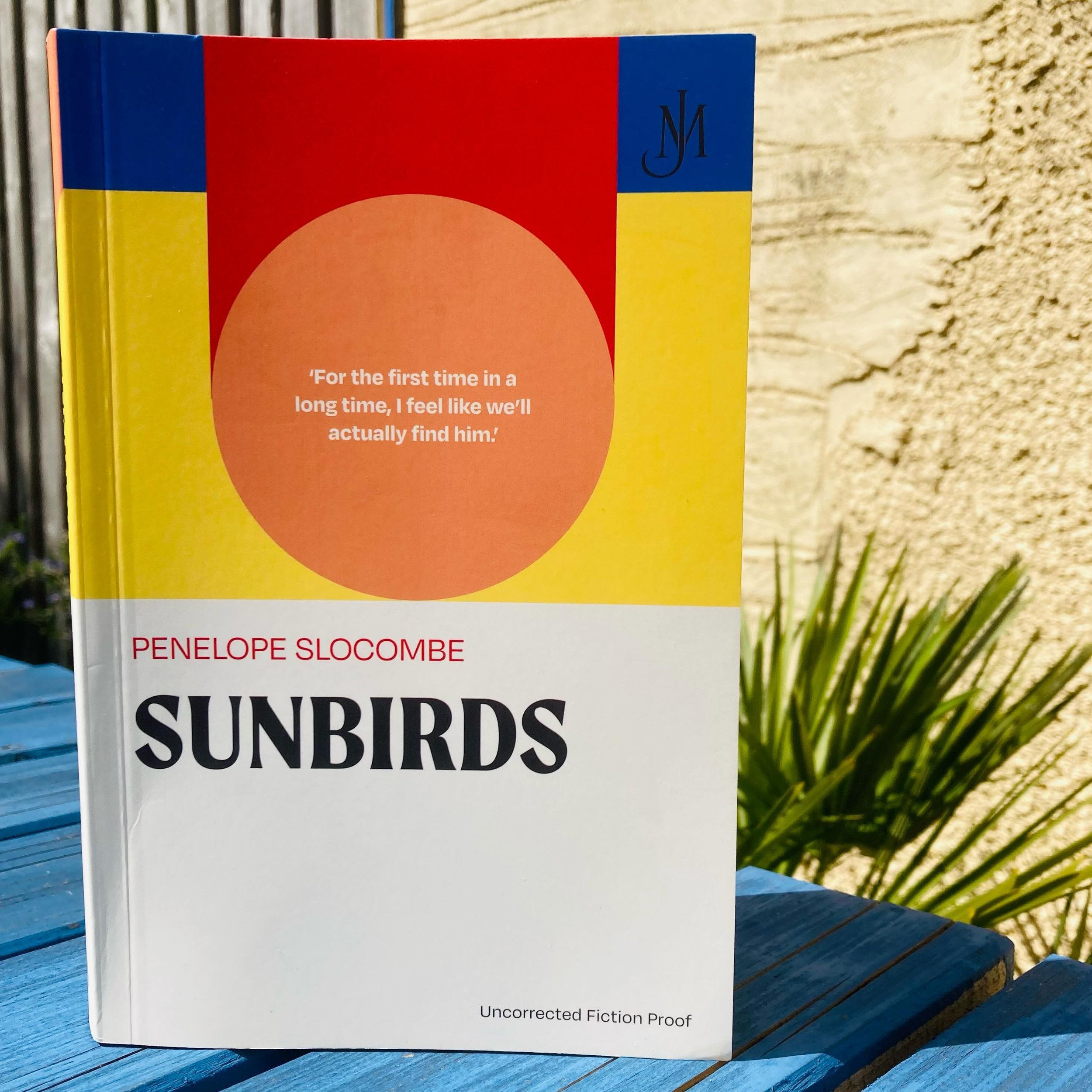 Welcome to Instagram @penelope.author 🎉 I&rsquo;ve just finished reading a proof copy of Penelope&rsquo;s debut novel SUNBIRDS and I really loved it 💕 In a nutshell: seven years ago Anne&rsquo;s teenage son went missing in the Himalayas and when so