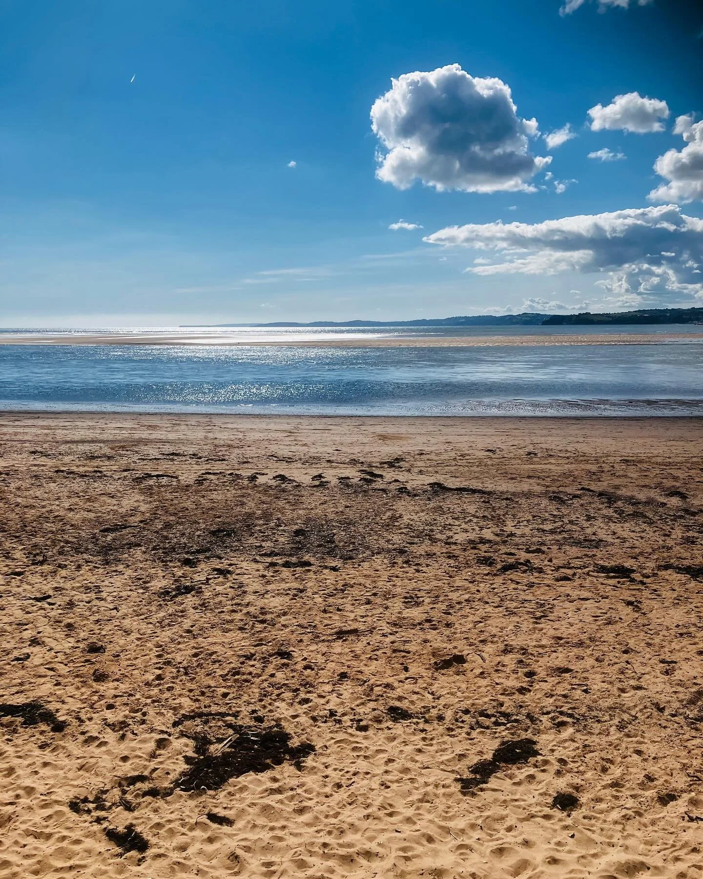 Last night I sent off the 4th draft of the next Shell House book, number 7 😅 So today was a pace change. Sea air. Family. Baked goods, for sure 😉 Meanwhile, the story for the 8th book is bubbling away in my subconscious. Characters are gaining defi