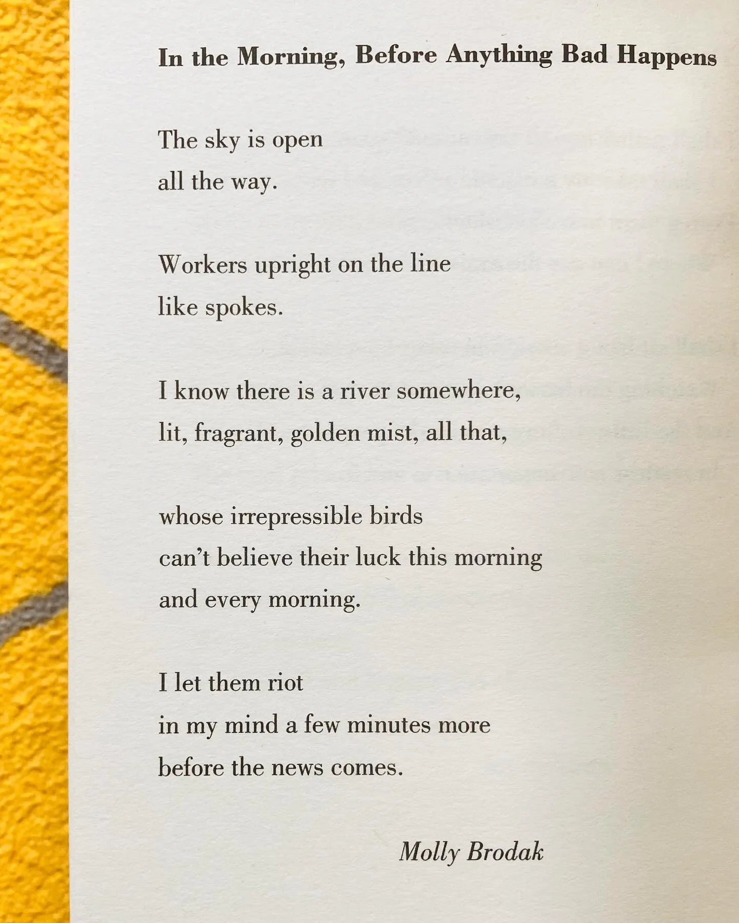 Rise and write with the rioting birds ✍️🌅 For National Poetry Day (though I tell ya, every day is a poetry day for me) here&rsquo;s a beauty ✨ I&rsquo;ve always loved the cocoony feeling of early morning writing sessions - before the day can get its