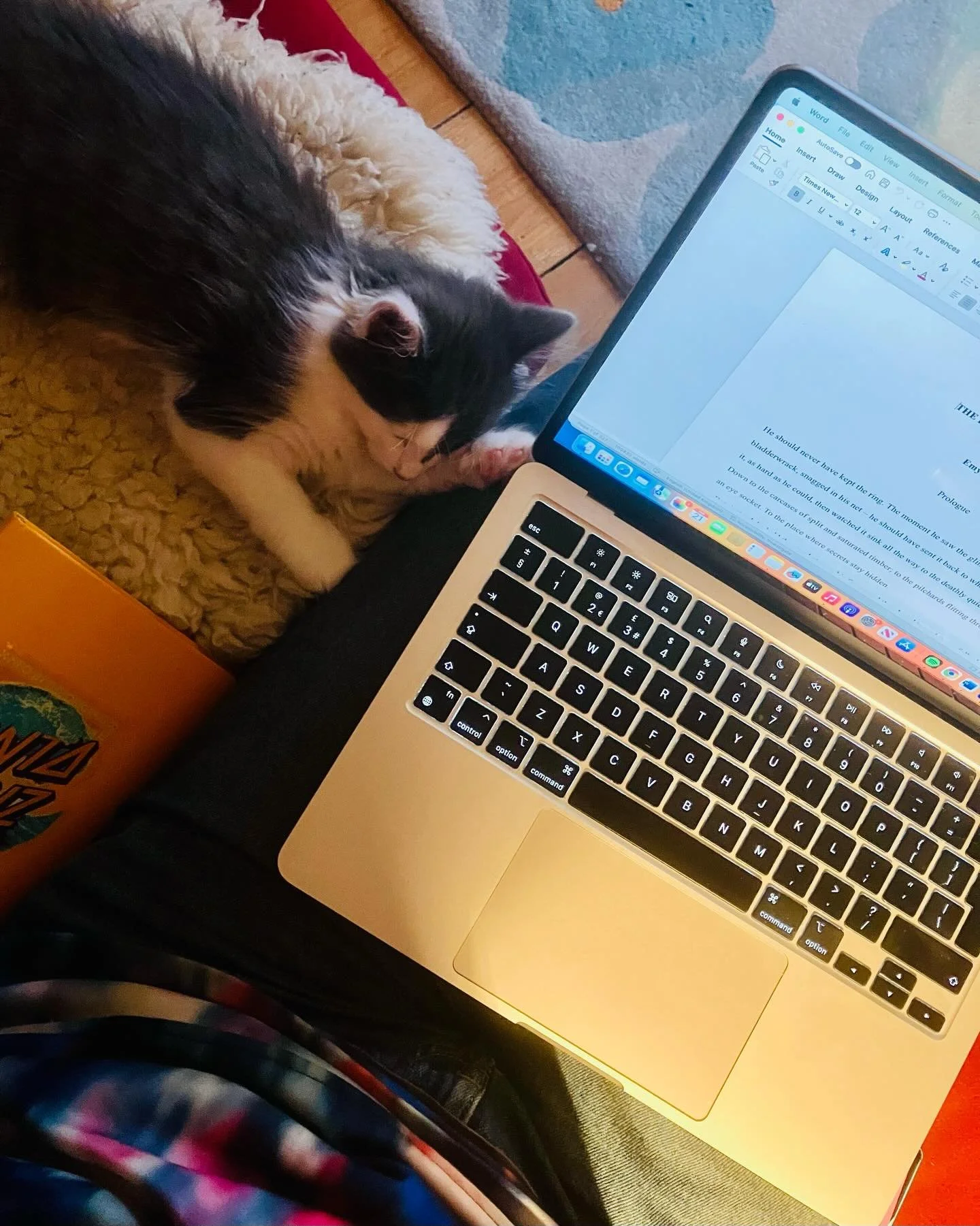 When I look back, the writing of this 8th eighth Shell House Detectives book will be precious to me in so many ways ✨ A sanctuary, when writing through grief. An open house, when writing with our kitten. Feeling loss and luck and sorrow and joy all a