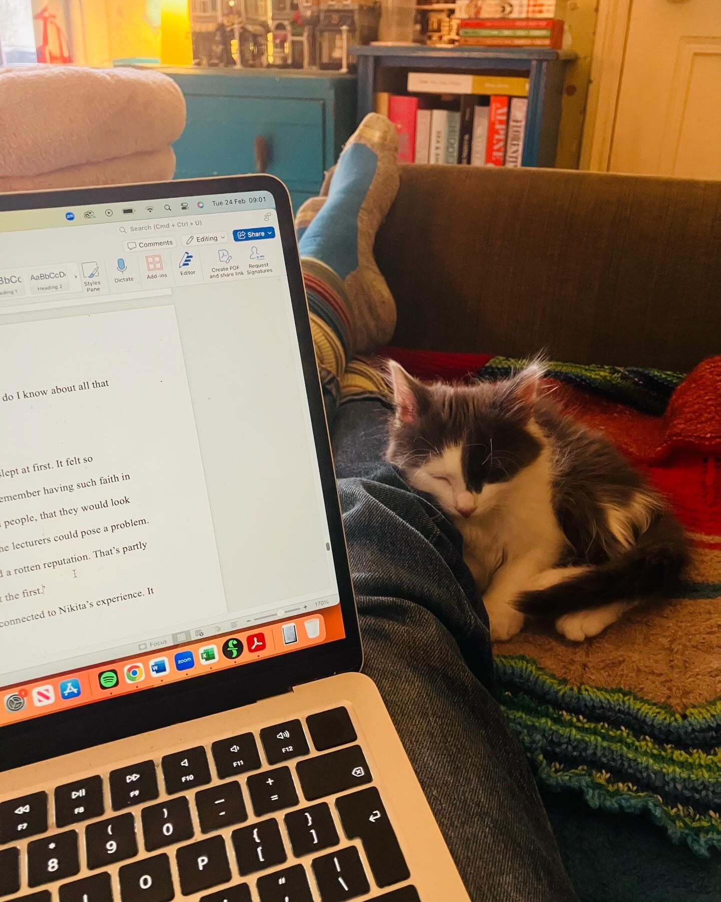 Cosy (so cosy) crime writing in action ✍️🤗😻 If I can swing it with Chilli, we&rsquo;ll be here all day ✨ 

#amwri̇ti̇ng #newkitten #writingprocess