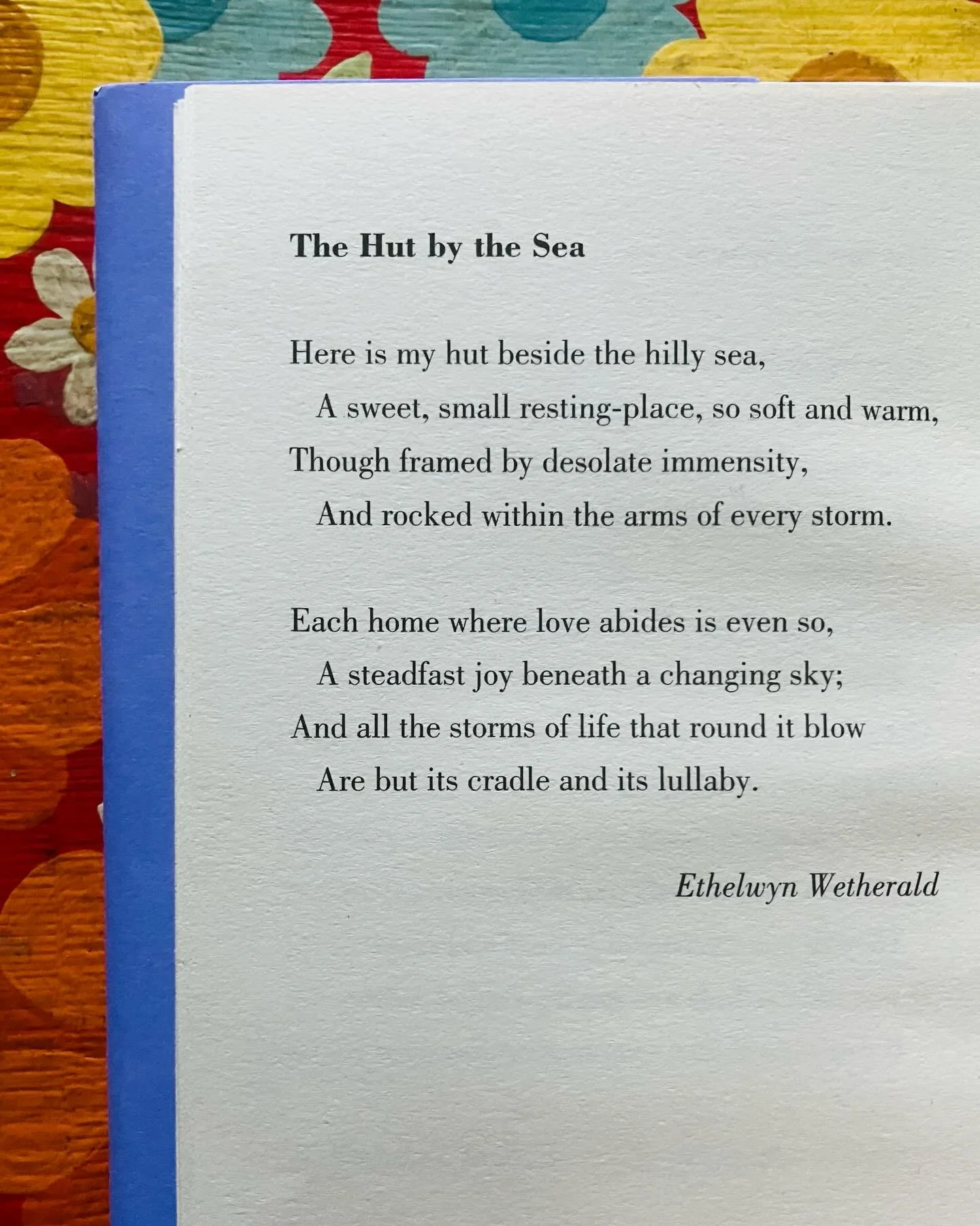 Isn&rsquo;t this Ally&rsquo;s Shell House? 🩵🐚🩵🐚

#theshellhousedetectives #ilovepoetry #poetrypharmacy