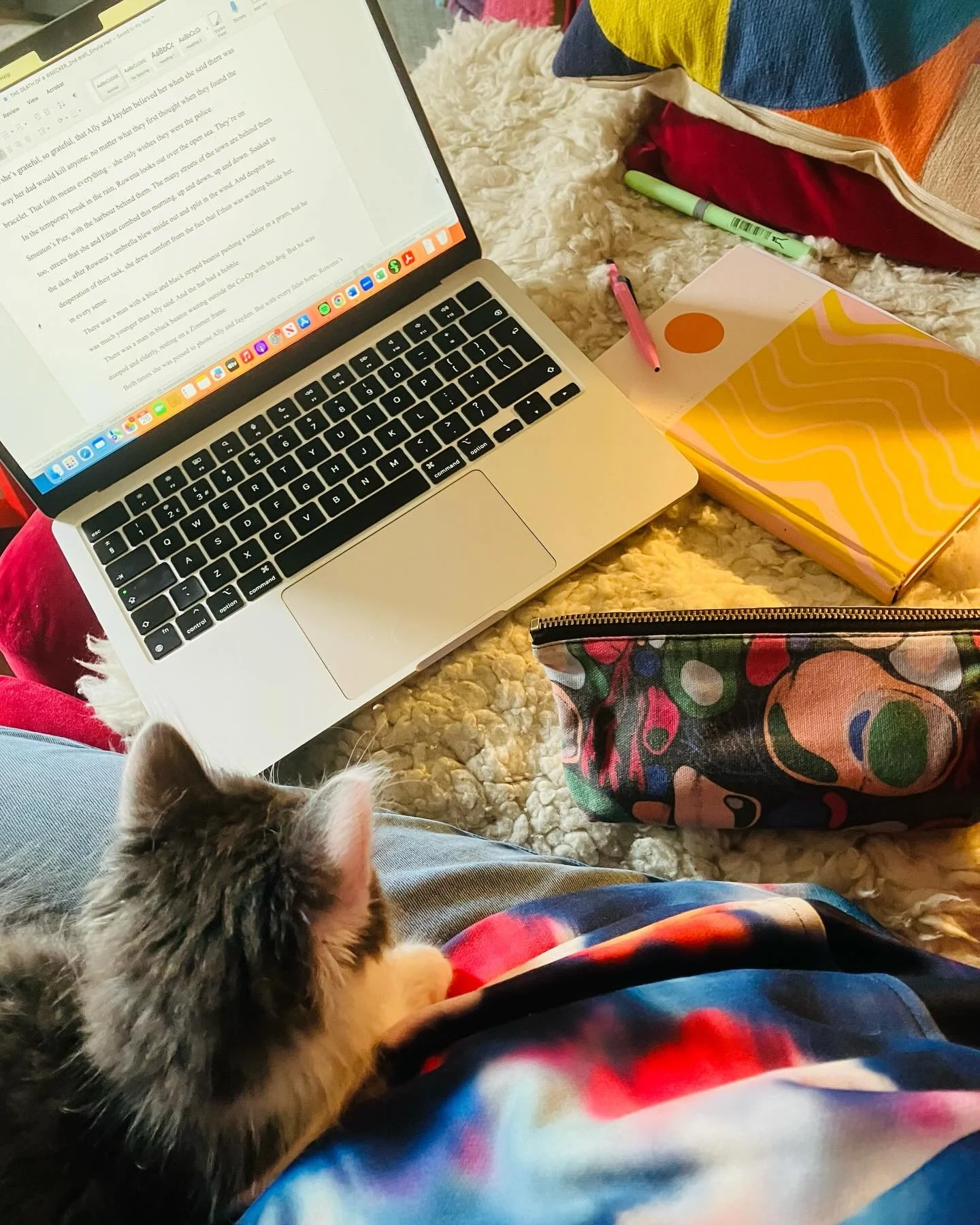 I&rsquo;ve just sent off the 2nd draft of Shell House Detectives number 8 🎉 The second half of my edits were done right here, on the sofa, with my new friend for company 🐱 Putting the &lsquo;cosy&rsquo; in cosy crime, and to say that this kitten ha