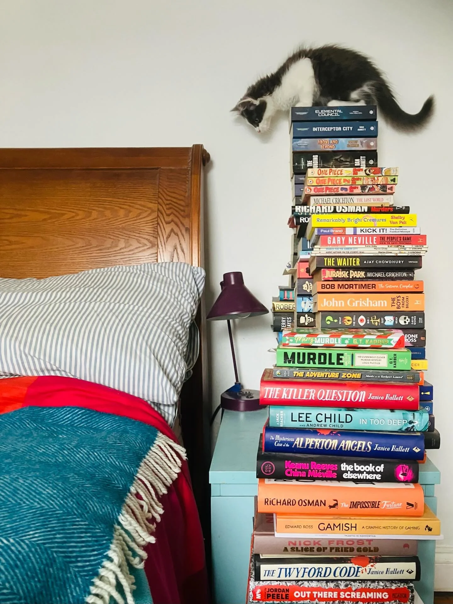 My husband&rsquo;s side of the bed (and now, apparently, Chilli&rsquo;s 😂) 📚🐈📚🐈 

#catsandbooks #bookstack #bookstacklove