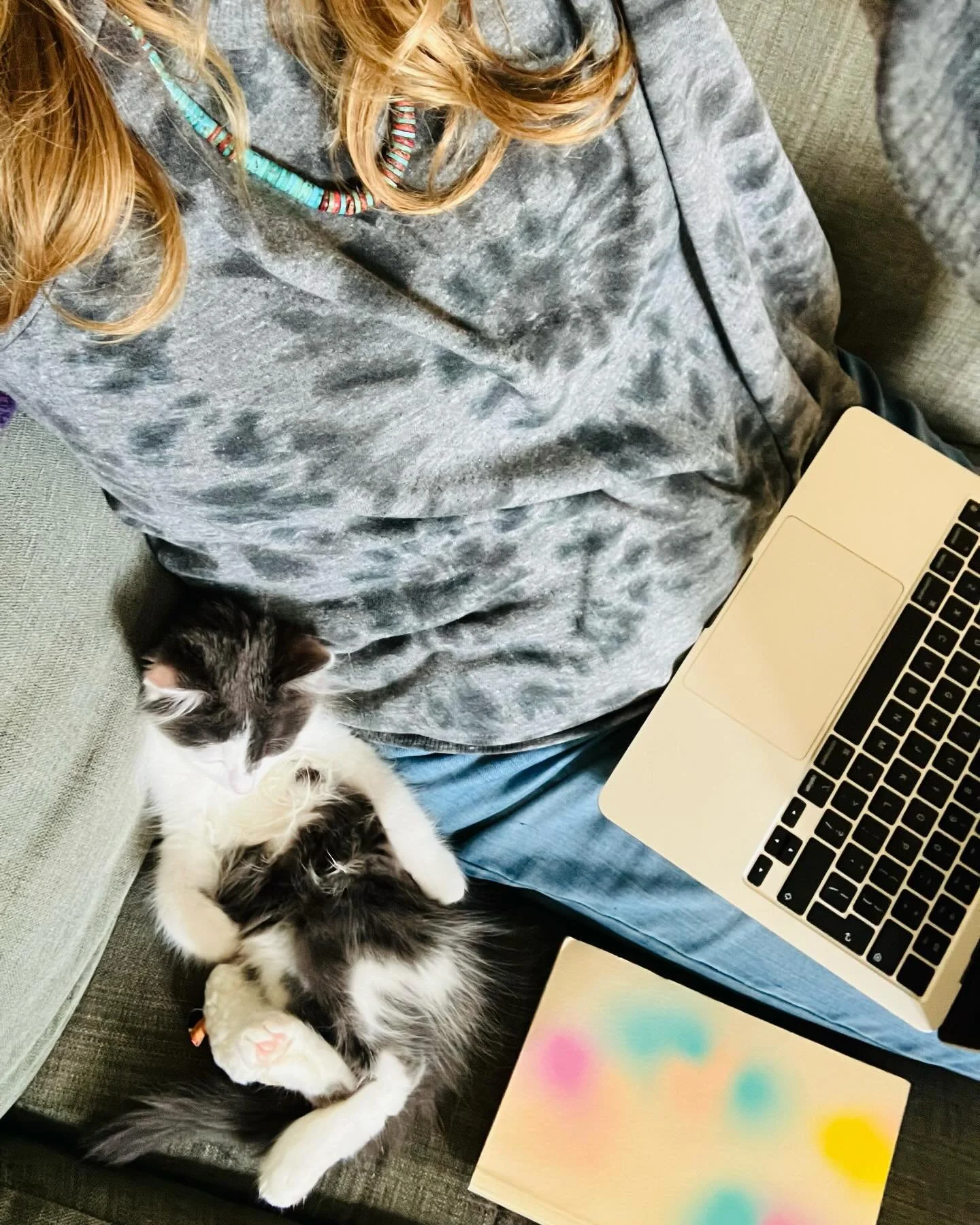 &lsquo;Kay cool, this is how we&rsquo;re writing today ✍️✨😻

#amwri̇ti̇ng #writerscats #creativecats