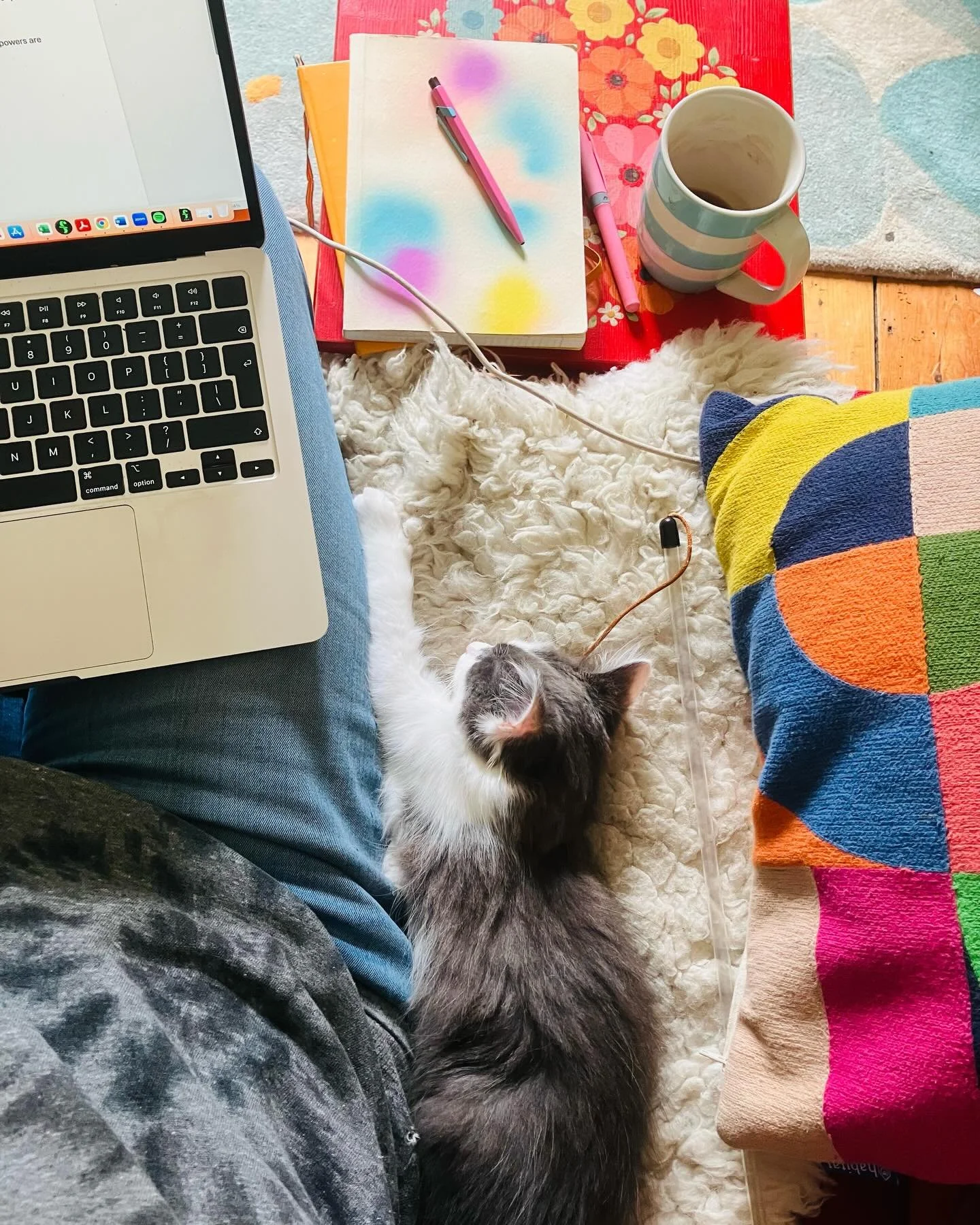 The desk is dead. It&rsquo;s all about the sofa writing these days (and it&rsquo;s worth the neck crick!) 😃✍️ As I have a break between edits, I&rsquo;m playing around with the next thing. In very, very, very good company 😻

#amwri̇ti̇ng #catsandbo