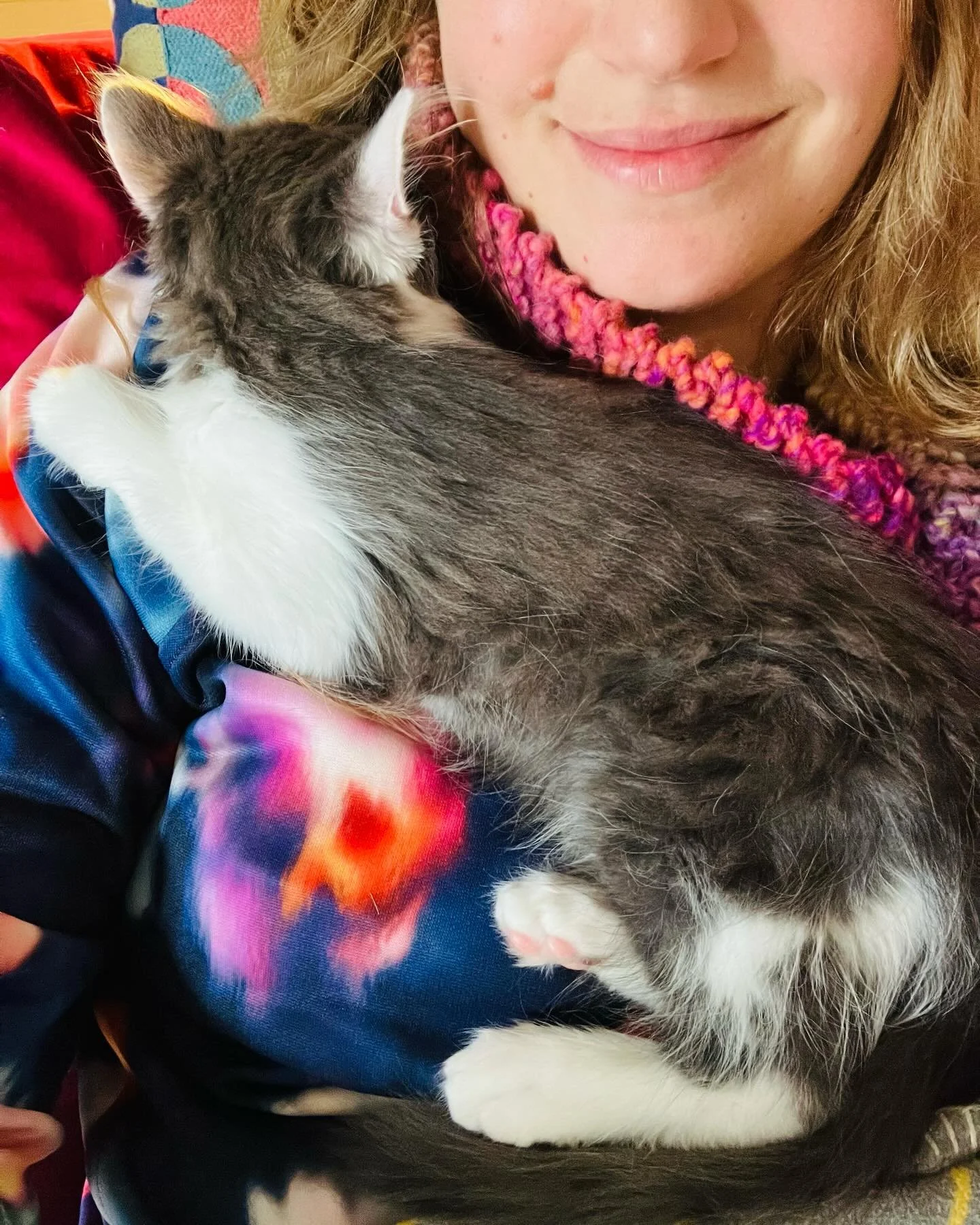 How I Write: March 2026 edition ✍️😻 Typing in tune with the purrs&hellip; 

#amwri̇ti̇ng #writersandcats #kittenoftheday