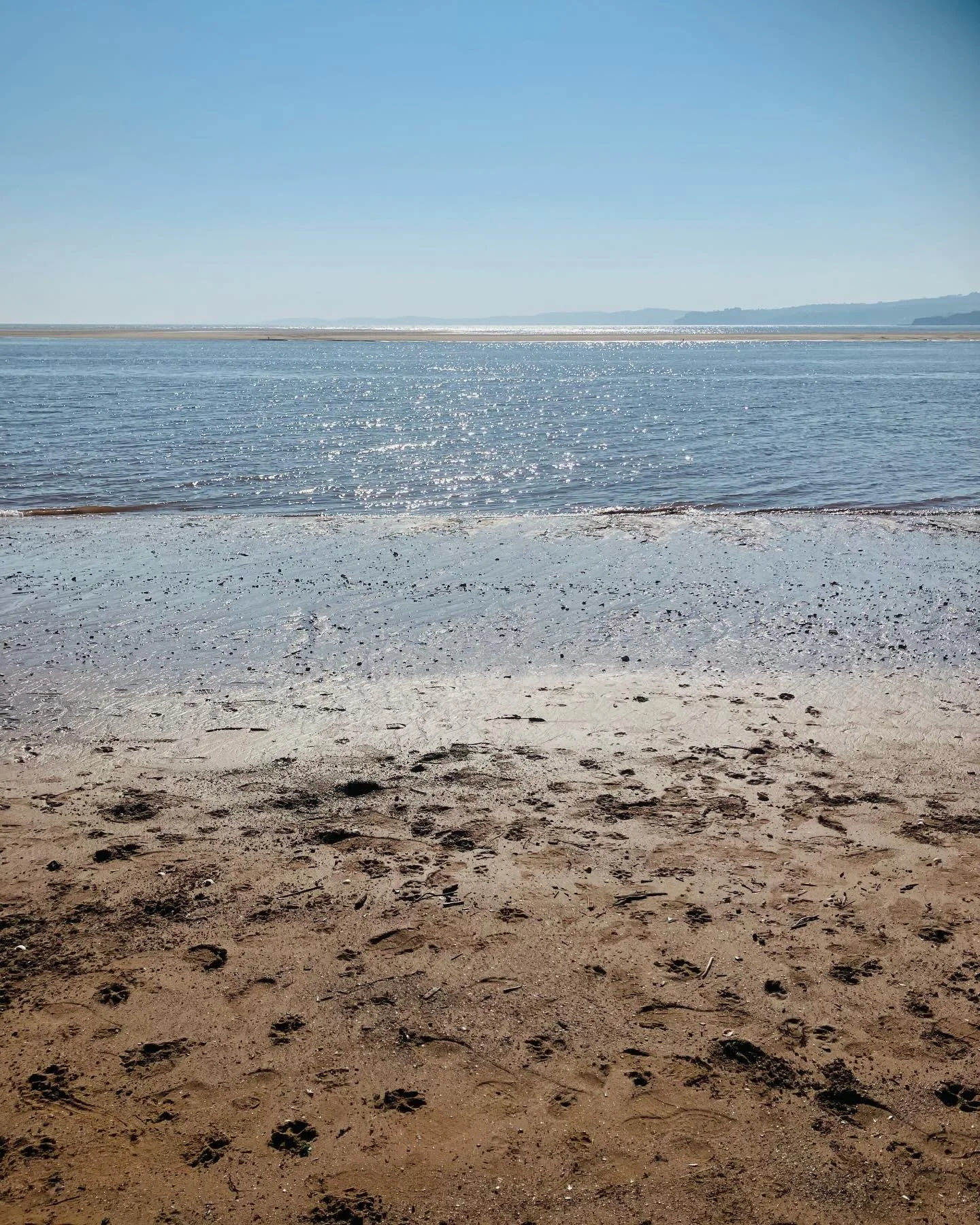 South Devon feeling totally tropical today ☀️ 🌊💗

#devoncoast #springatlast #gratitude