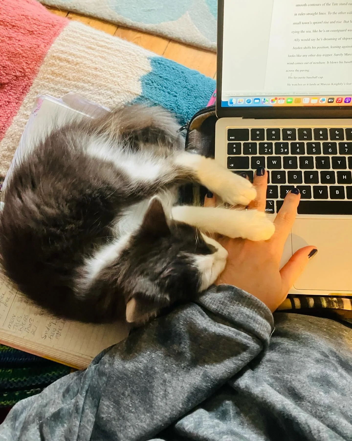 My little helper ✍️😻✨

#writersandcats #amwri̇ti̇ng #catsandbooks #writingprocess