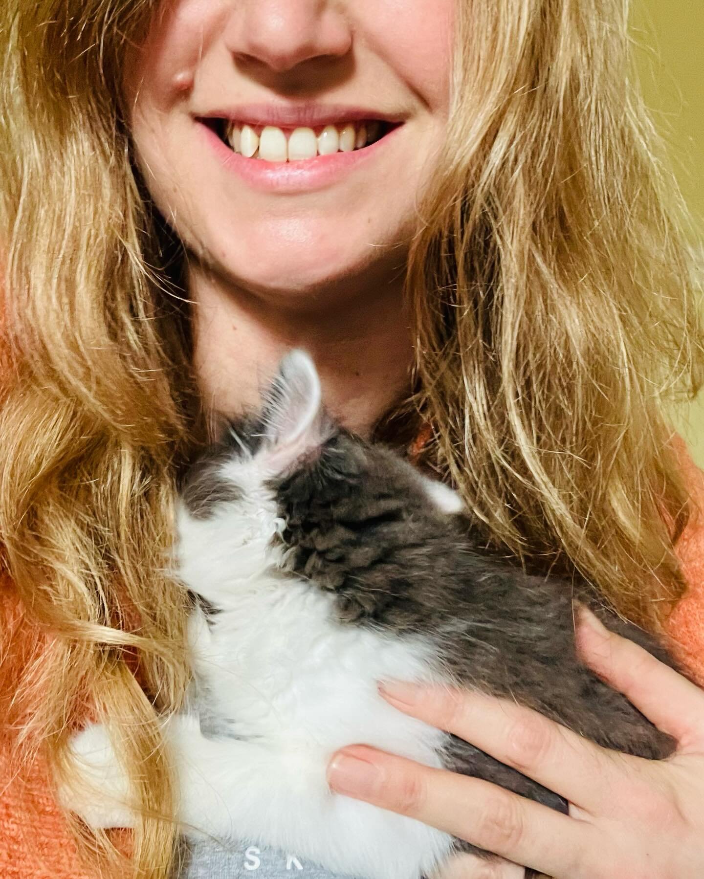 Seven lucky, lucky weeks with Chilli 🌶️ He came into our lives just days after my dad&rsquo;s funeral, and he has brought nothing but joy (and a little delightful chaos) to our house. Sometimes it feels as if he was sent to us.

He&rsquo;s our tiny 