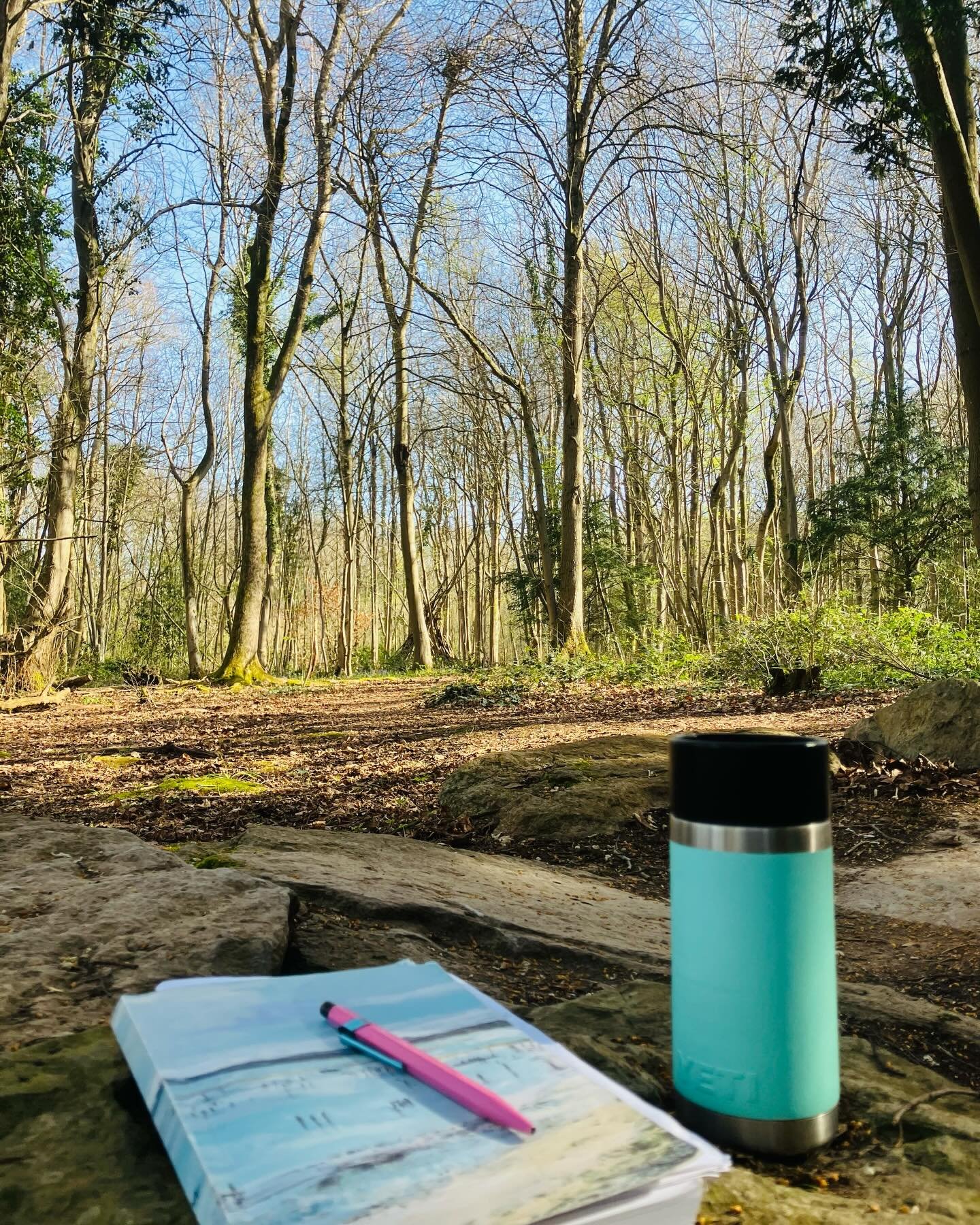 Never knowingly under-notebooked (or coffeed) ✍️ ☕️ While the boys disappeared through the trees for a bike ride I copped a squat in a glade and did some chapter planning. Birdsong, sunlight, bluebells, and the brief appearance of a deer who gave me 