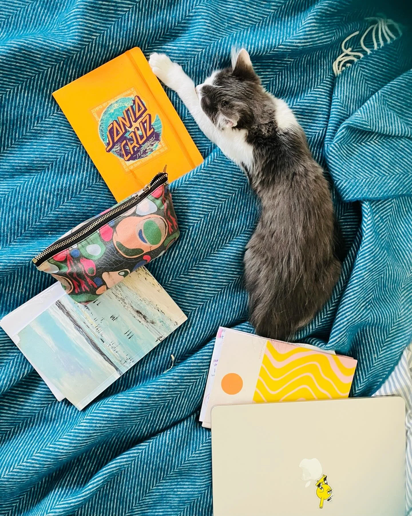 Editing from the bed, kitten and notebooks strewn about 🤩 My desk has no allure when we can all write horizontal instead (and, weirdly, looming deadlines feel so much less pressing) 👍😻

#amwri̇ti̇ng #writingprocess #creativeliving