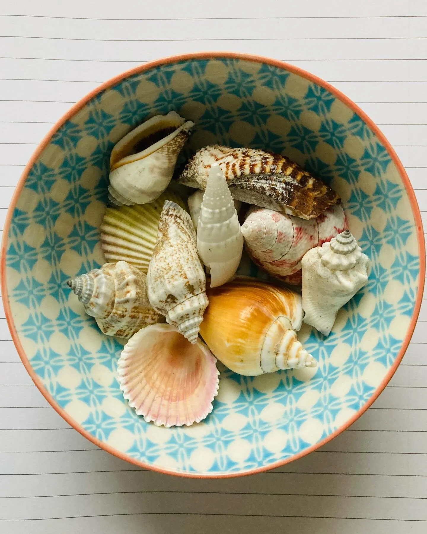 I&rsquo;ve just turned in my 4th draft of Shell House Detectives book 8 🥳 ✍️🐚 I love this last stage before the copyedit, when it&rsquo;s all about fine tuning and tightening, the intricate changes that add up to make the whole ✨ While I write my 1