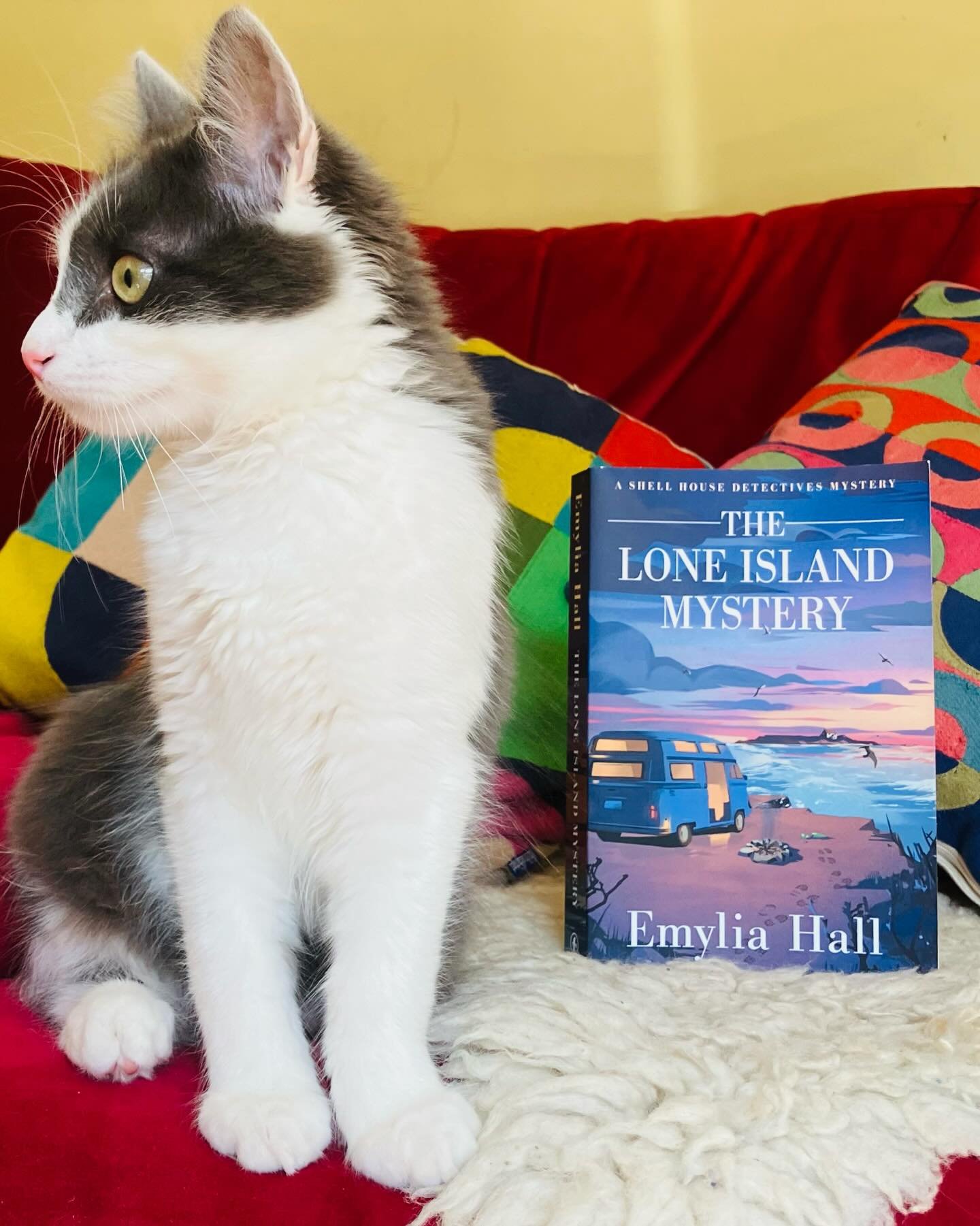 It&rsquo;s publication day! 🥳 This guy got me up at 5am, he was that excited&hellip; 😬 THE LONE ISLAND MYSTERY sees Ally and Jayden get entangled in a tragic, complex case that takes them from a remote island to a clifftop mansion to a lonely parke