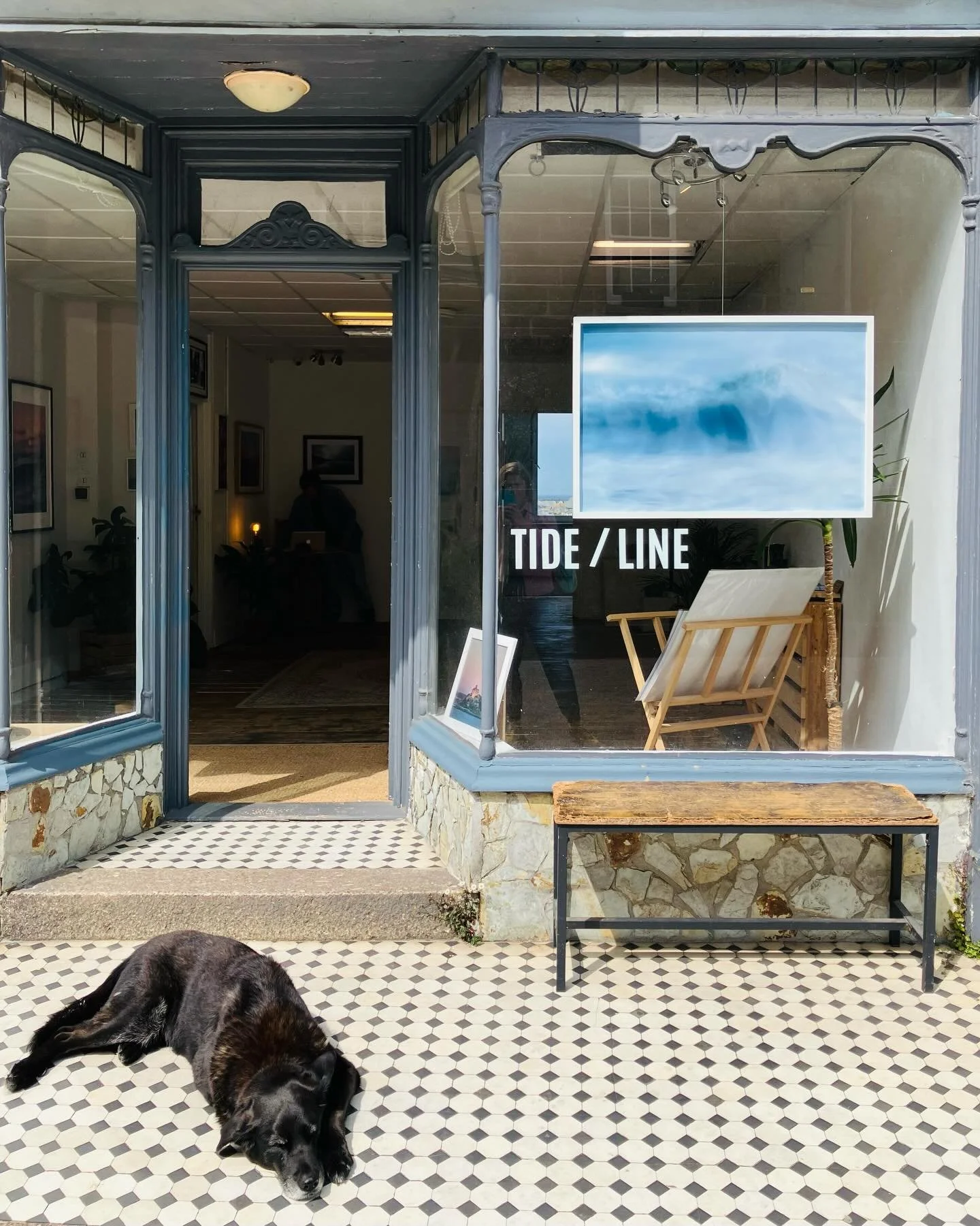 Ways I celebrated publication number 273&hellip; 🎉 Passing the beautiful @tideline7 gallery in St Ives last week I spied a spray of palm and rose dawn light through the window ... and had to go in 🌴🌅 Photographer @ben_tredinnick_ explained how the