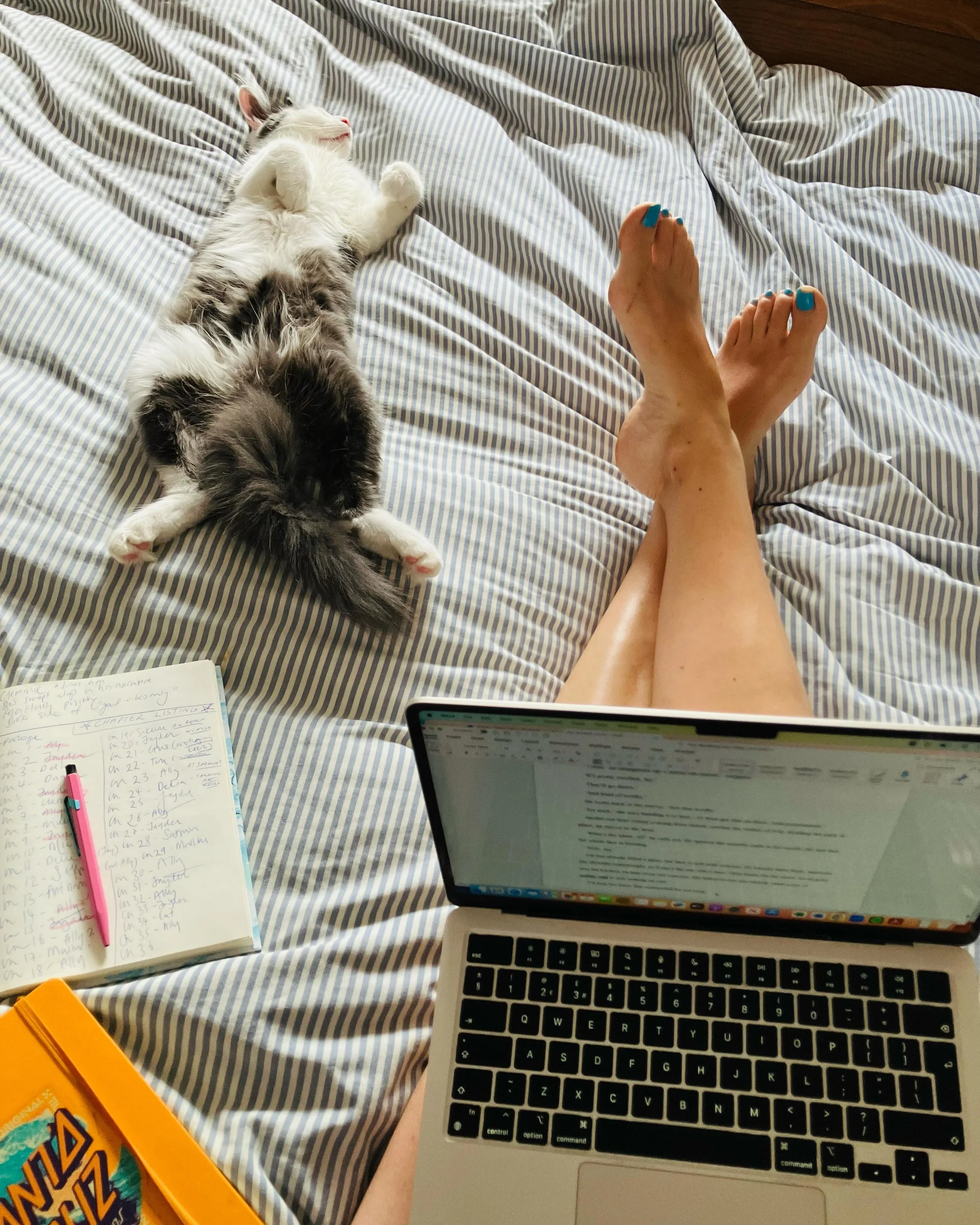 Under the weather, under the cosh, but best friend close by &hellip; all good 😊 ✍️😻

#amwri̇ti̇ng #writersandcats #catsofinstagram