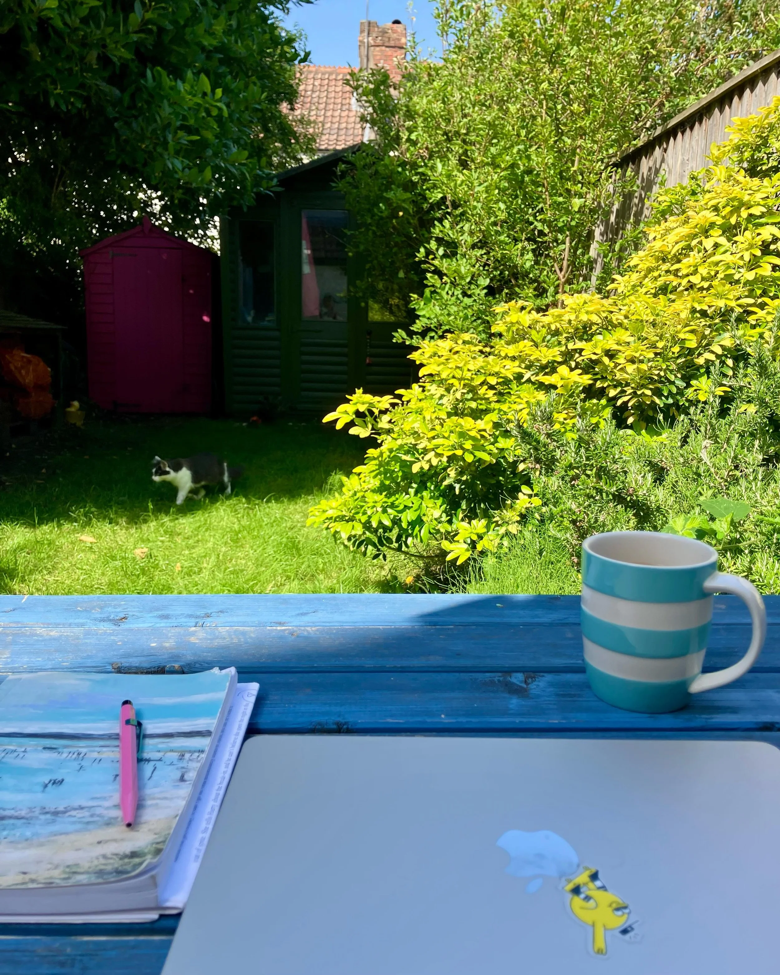 A tiny slice of garden writing bliss this morning - cool as a pool - before the sun slammed in, and kitty and I (spot him!) sloped in, panting 🥵 Now I&rsquo;m at an even more sweltering desk for an arvo of zooms - fan blasting full in the face, slig